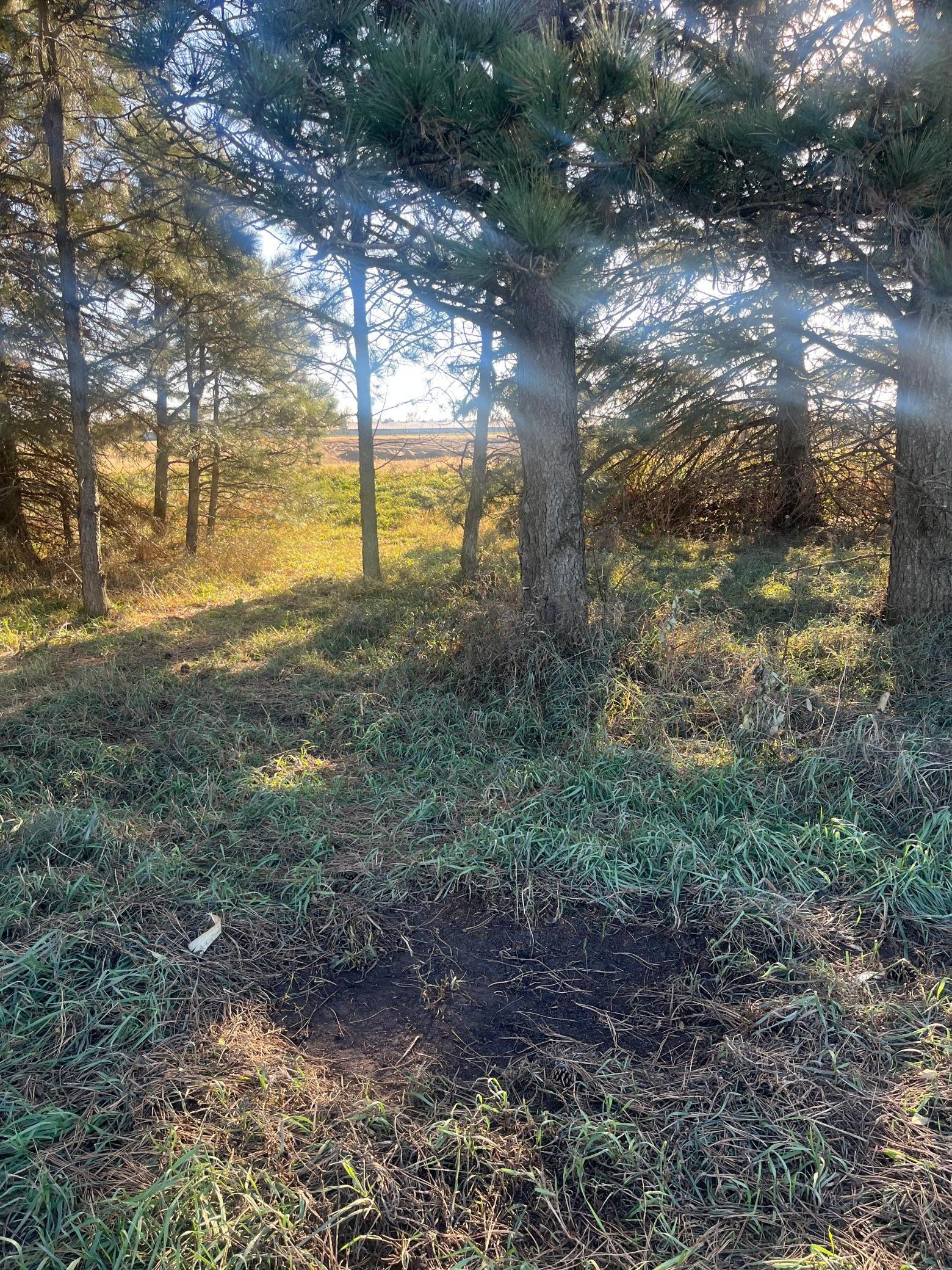 Tbd County Road 3 Property Photo 7