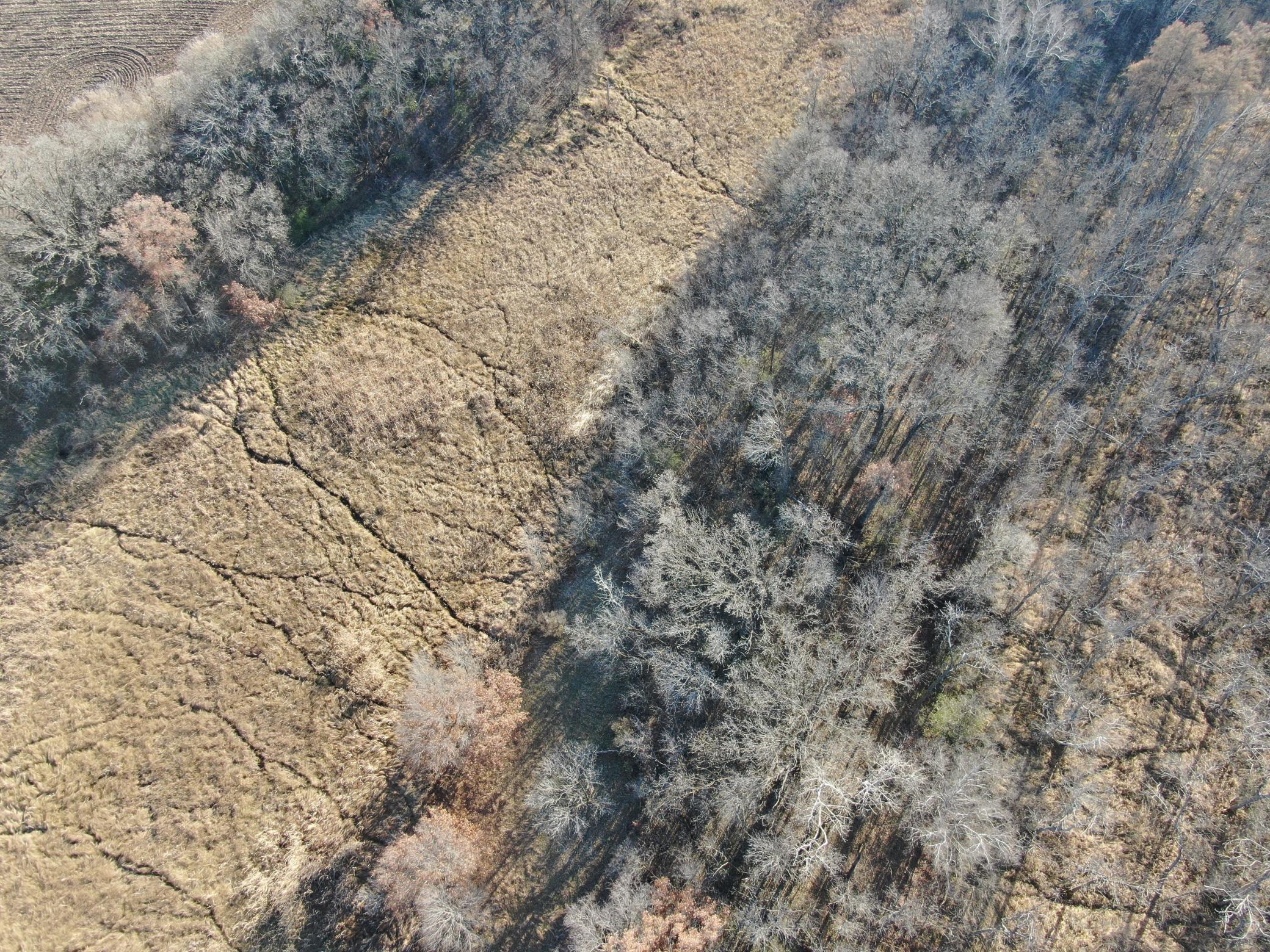 Tbd County Road 3 Property Photo 10