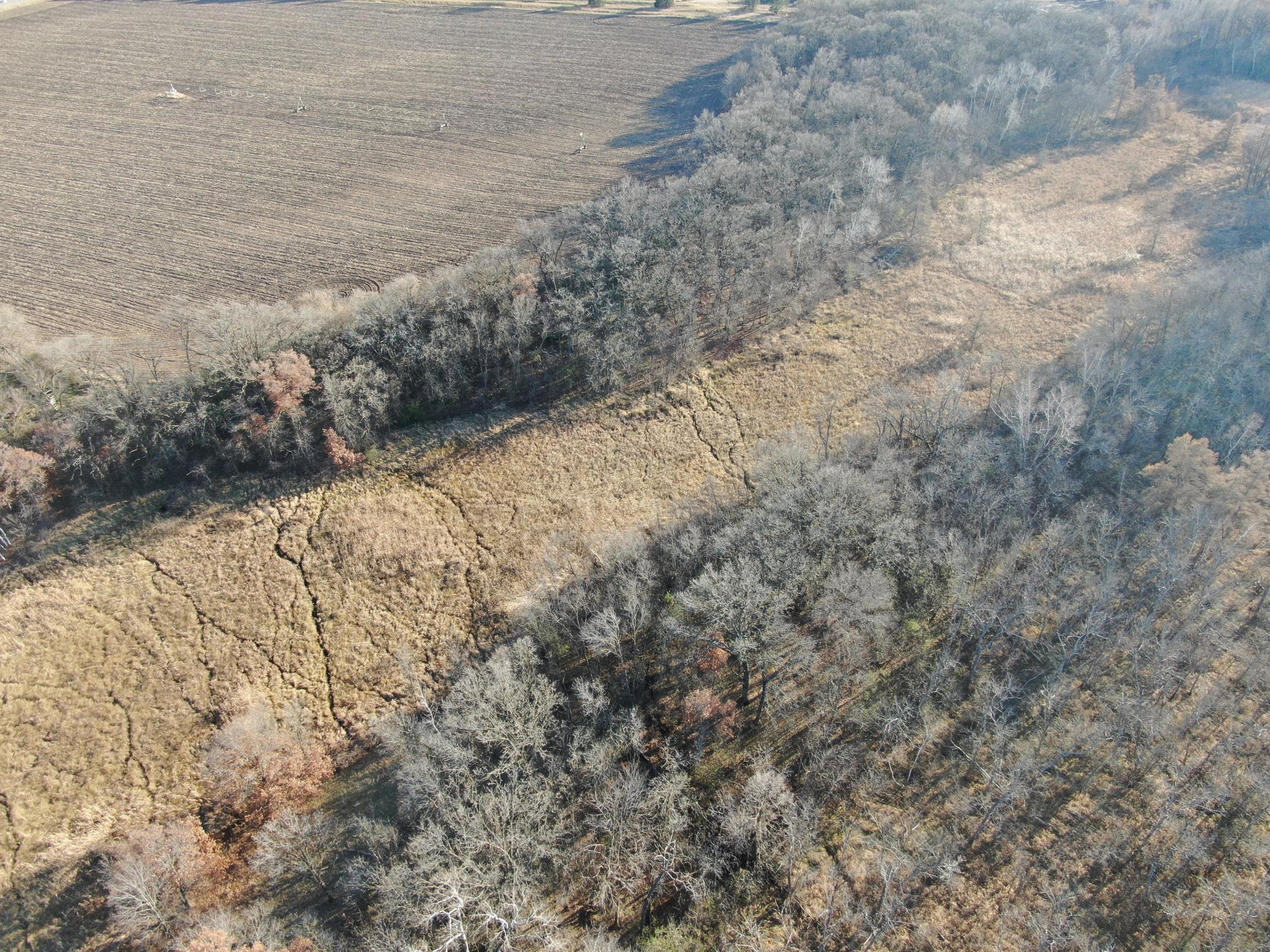 Tbd County Road 3 Property Photo 11