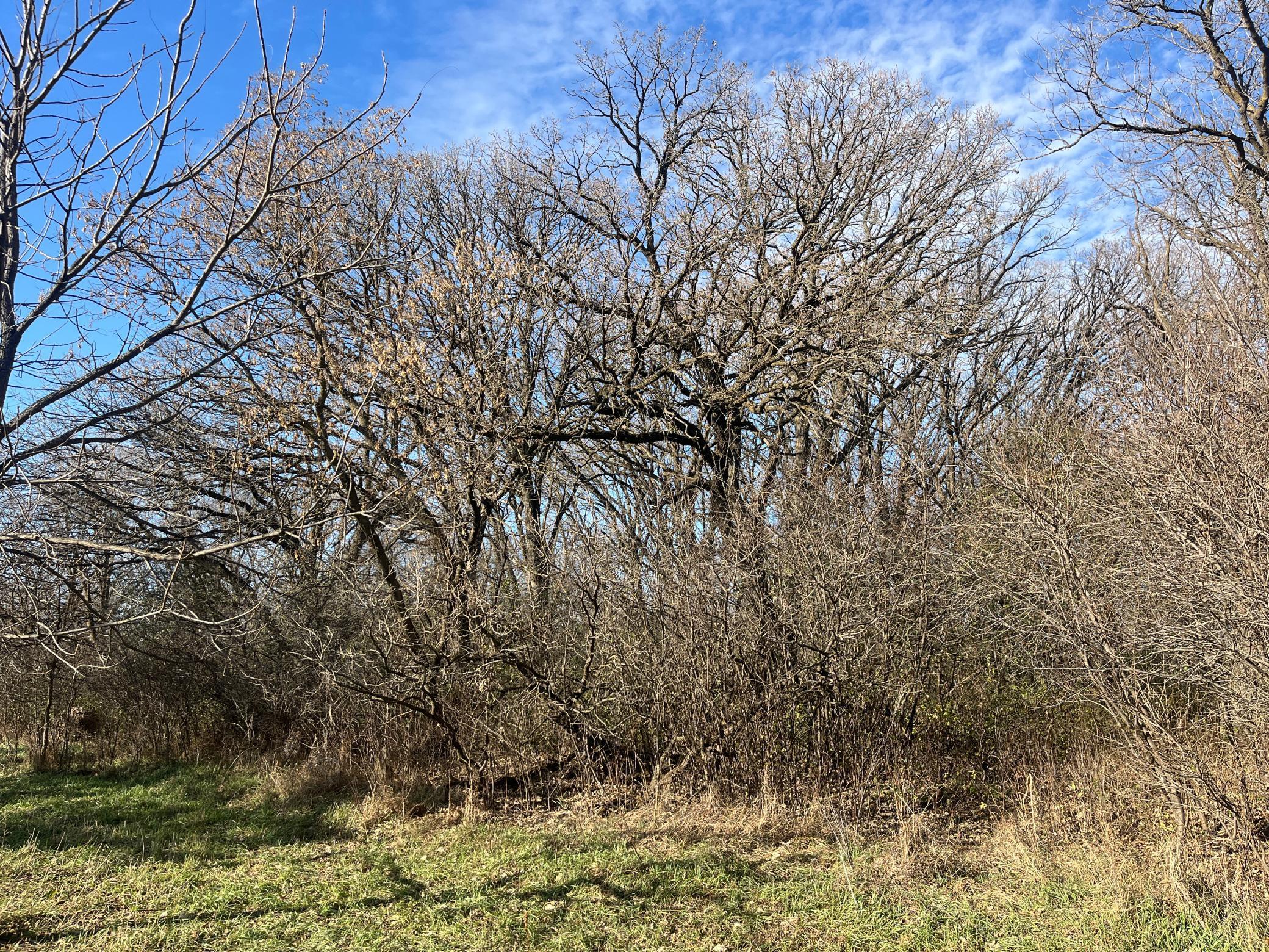 Tbd County Road 3 Property Photo 15