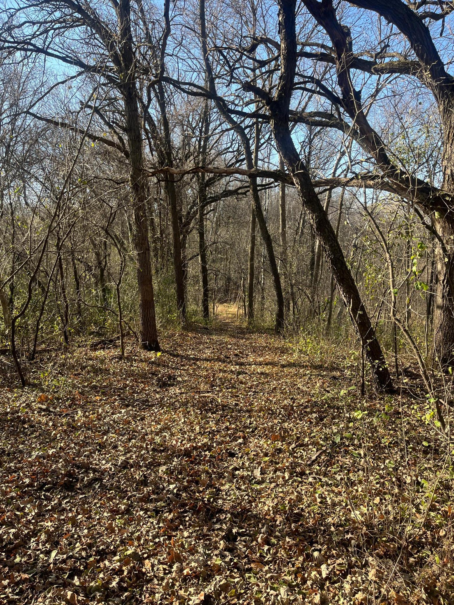 Tbd County Road 3 Property Photo 17