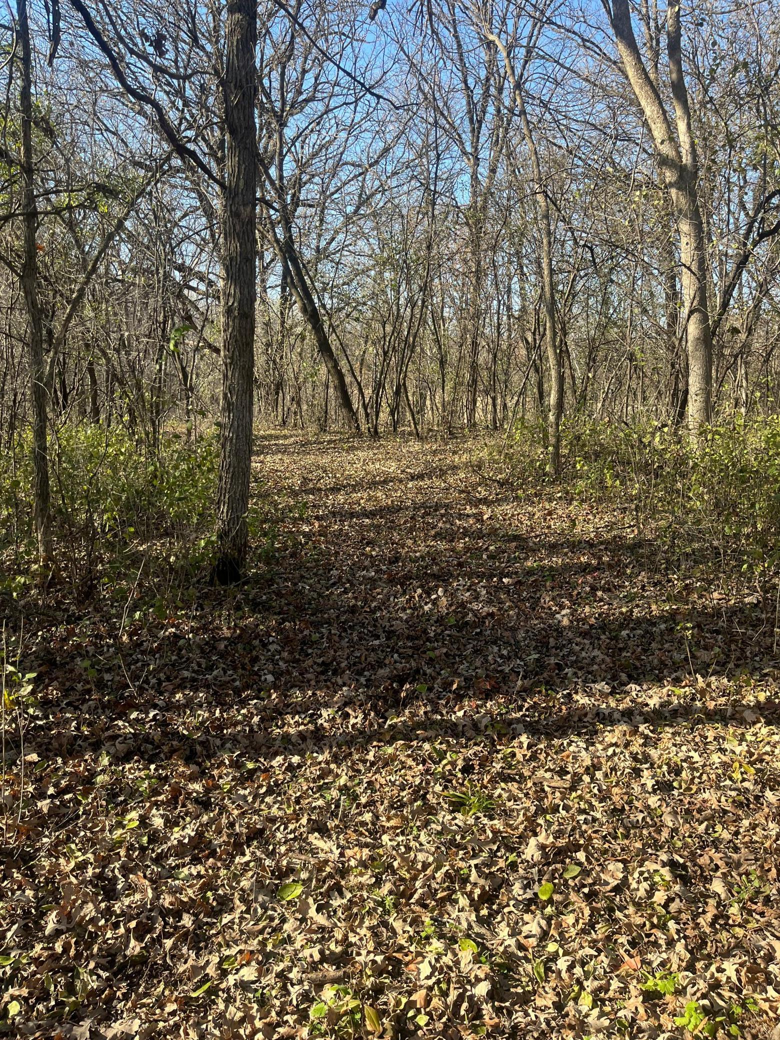 Tbd County Road 3 Property Photo 18