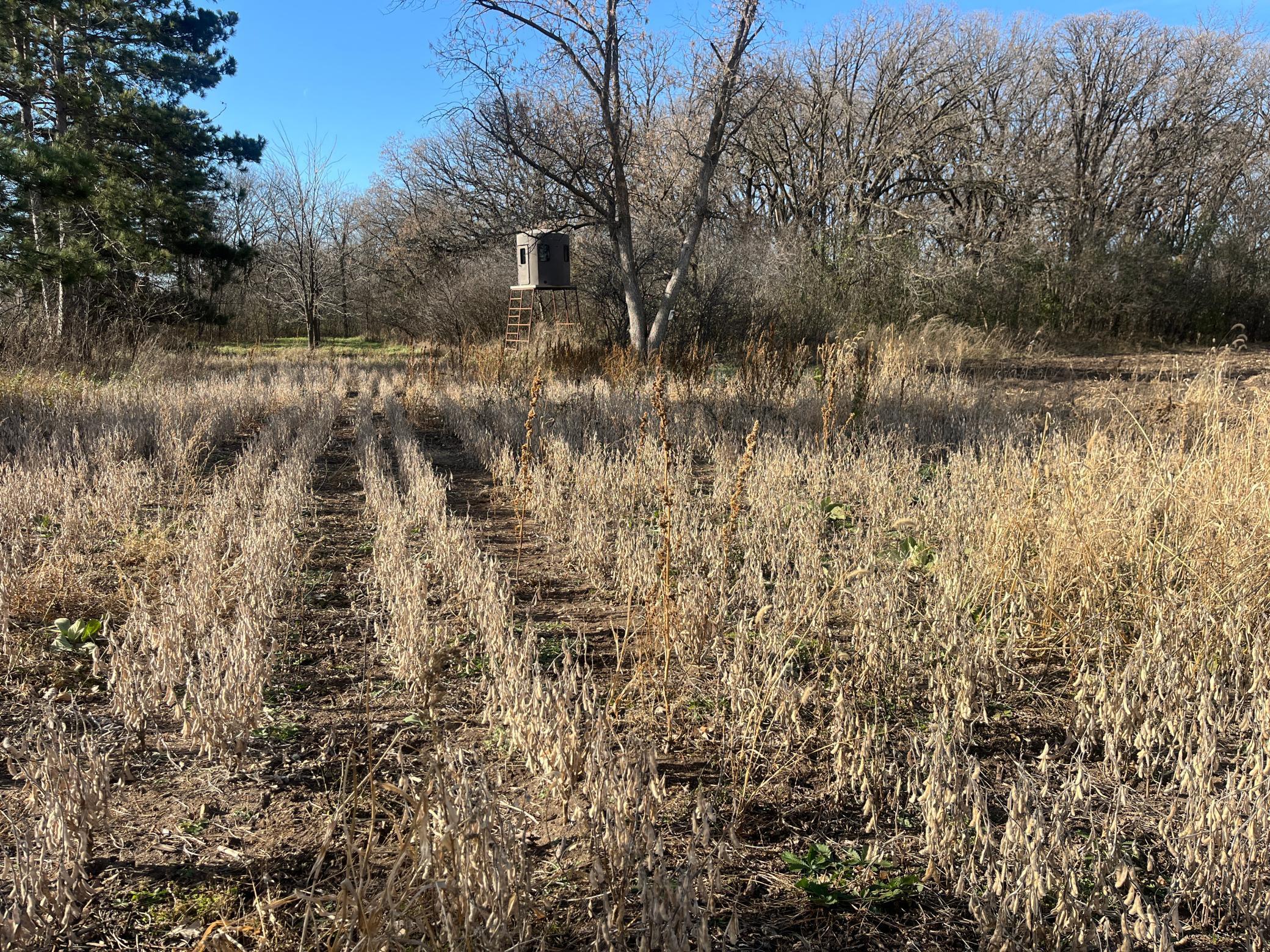 Tbd County Road 3 Property Photo 20