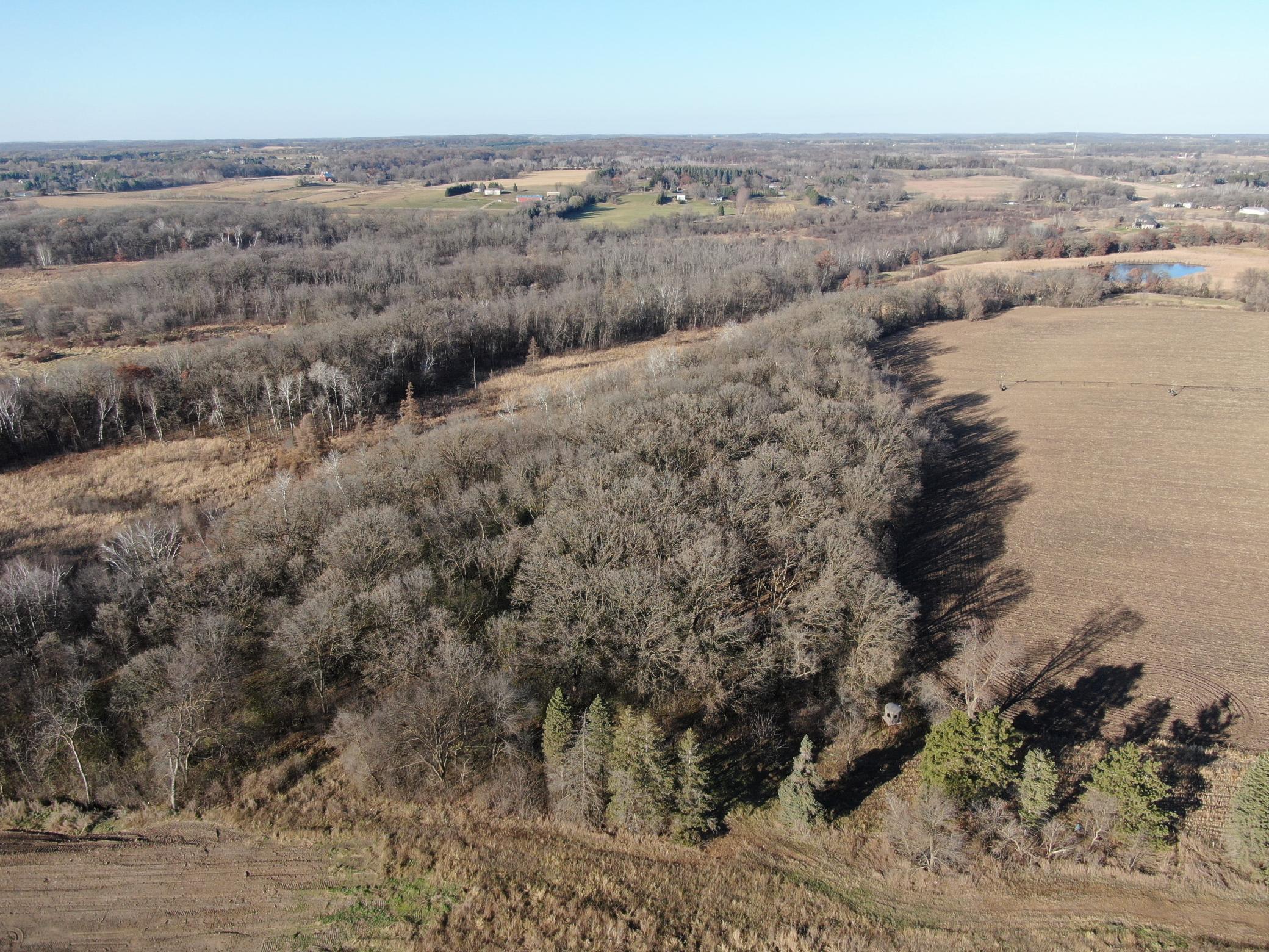Tbd County Road 3 Property Photo 32