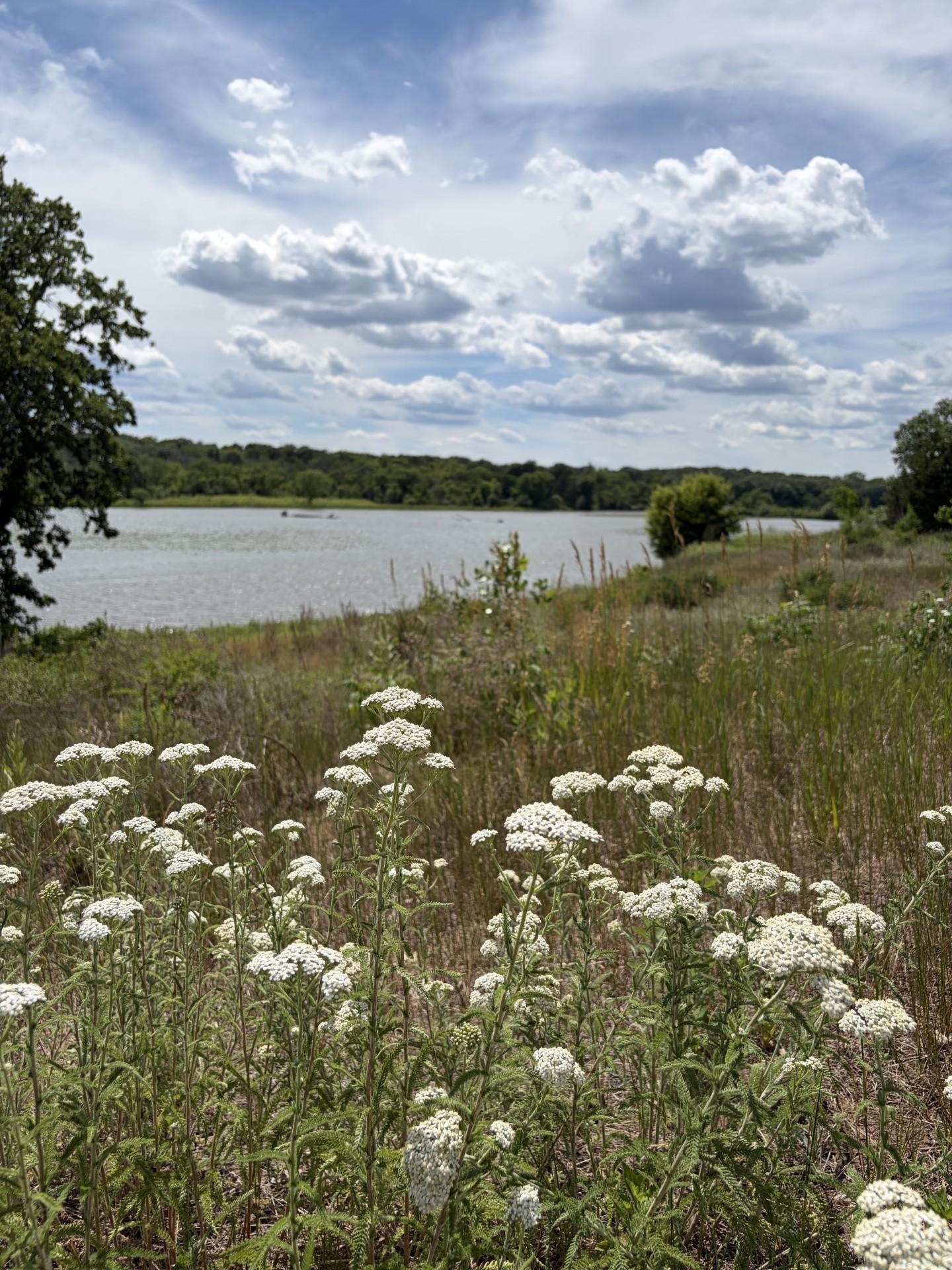 10574 Mississippi Dunes Trail S Property Photo 31