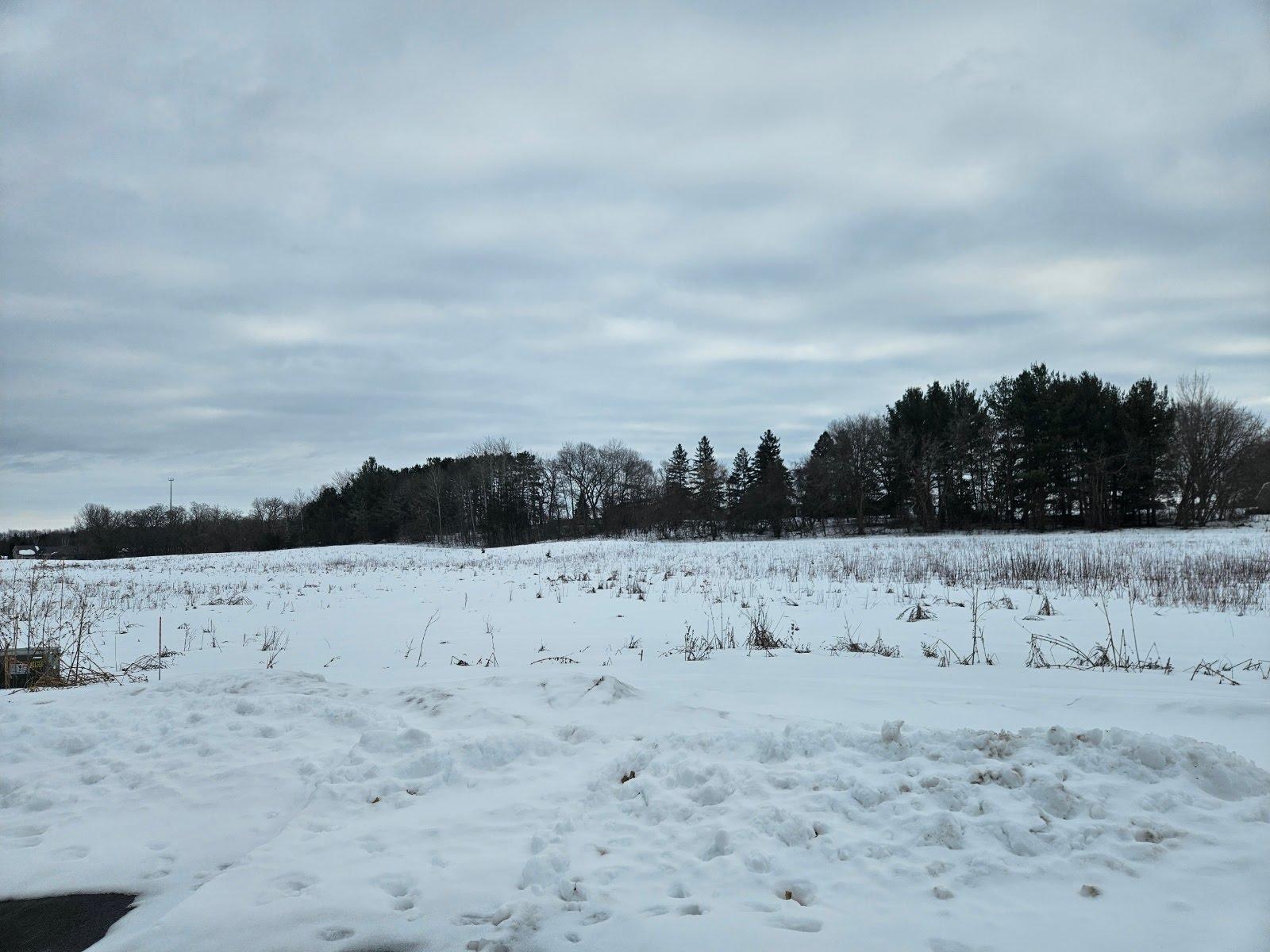 Lot 8, Block 3 2 1/2 Ave Ne Property Photo 1