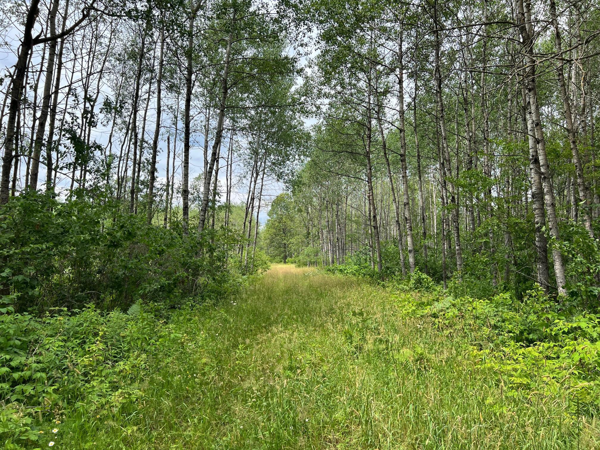 W37xx Frog Creek Road Property Photo 2
