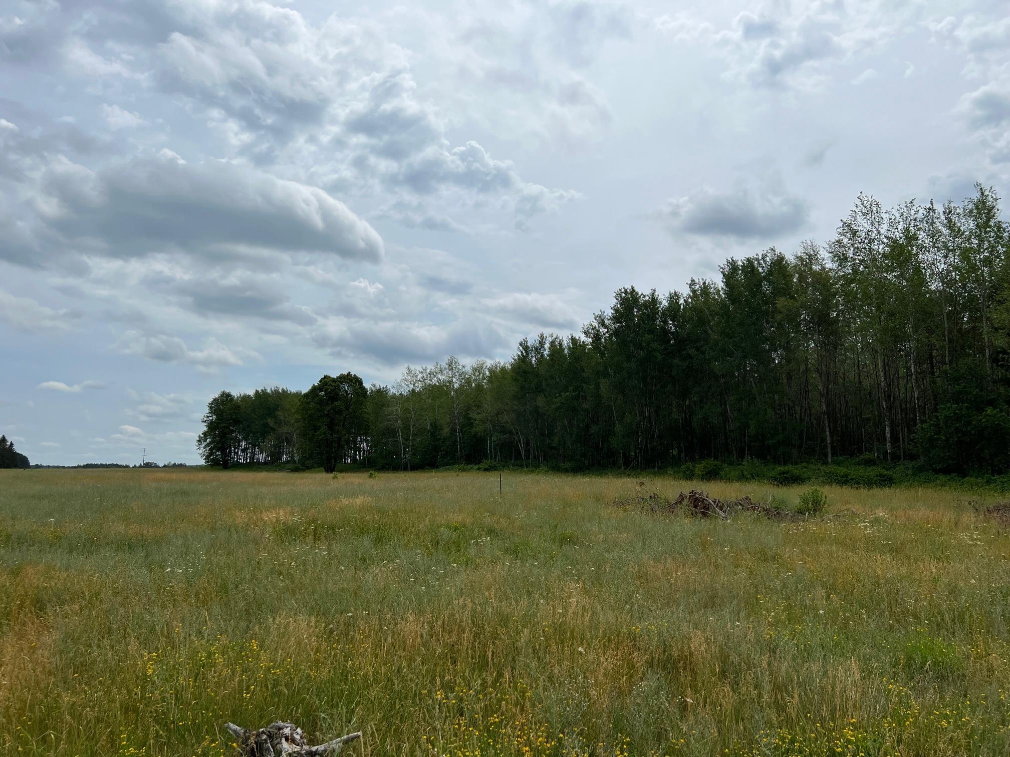 W37xx Frog Creek Road Property Photo 6