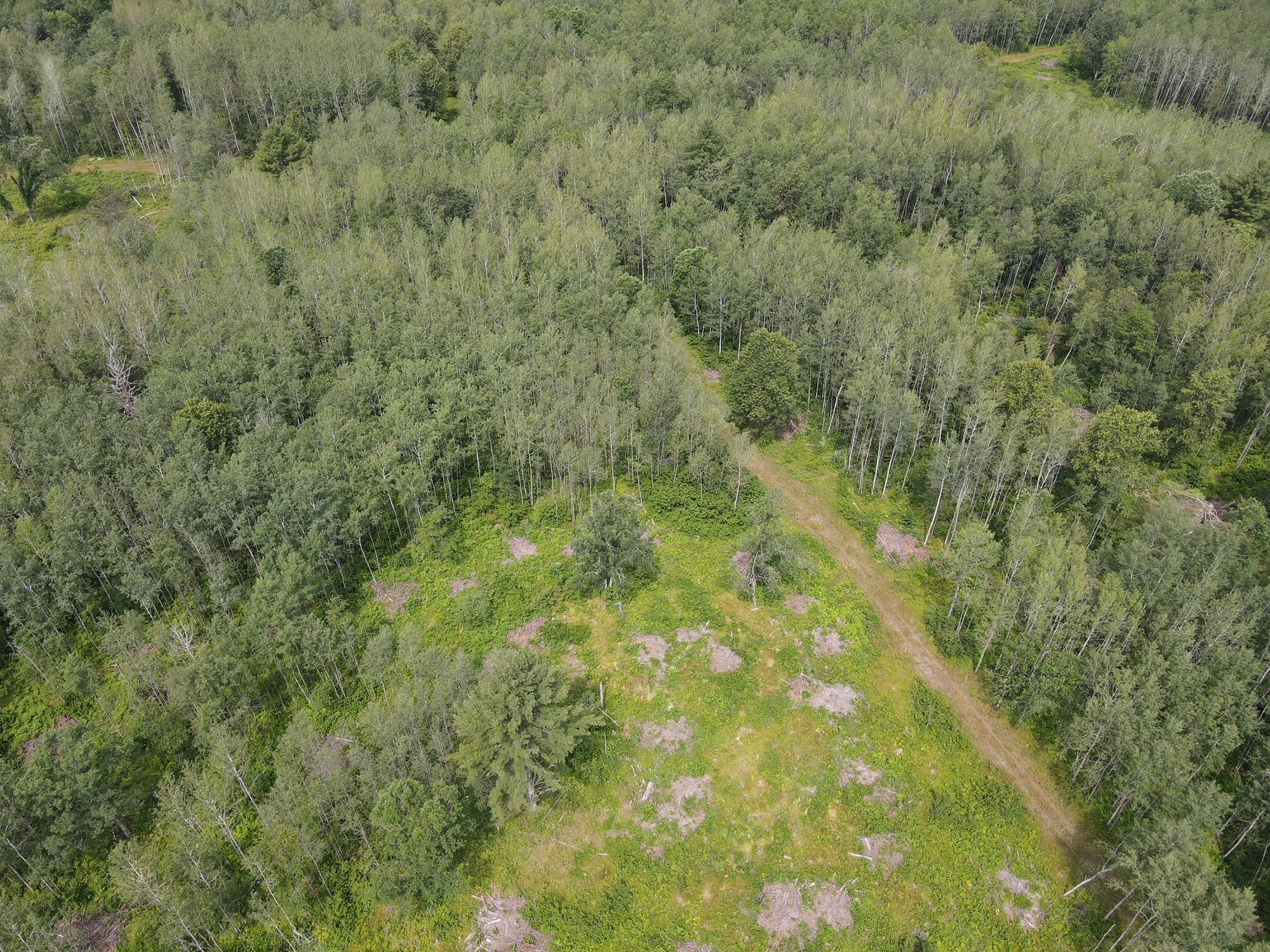 W37xx Frog Creek Road Property Photo 12