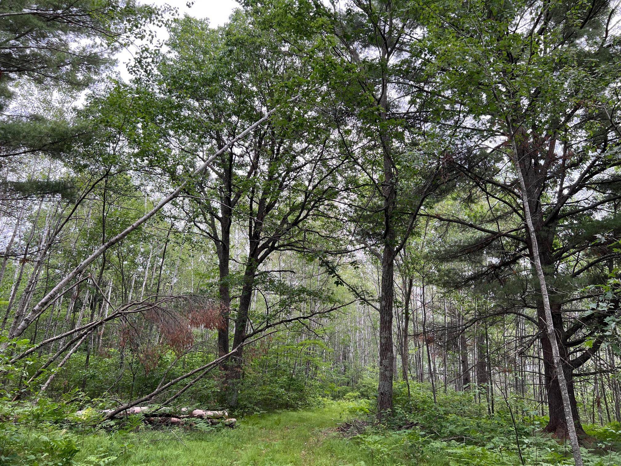 W37xx Frog Creek Road Property Photo 14