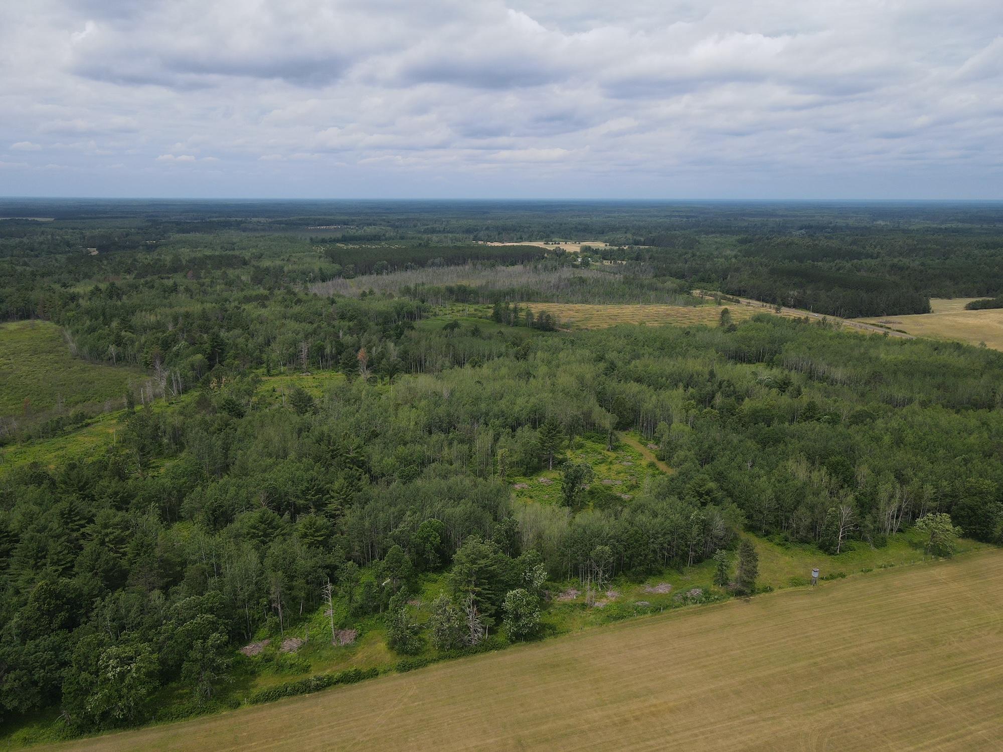 W37xx Frog Creek Road Property Photo 16