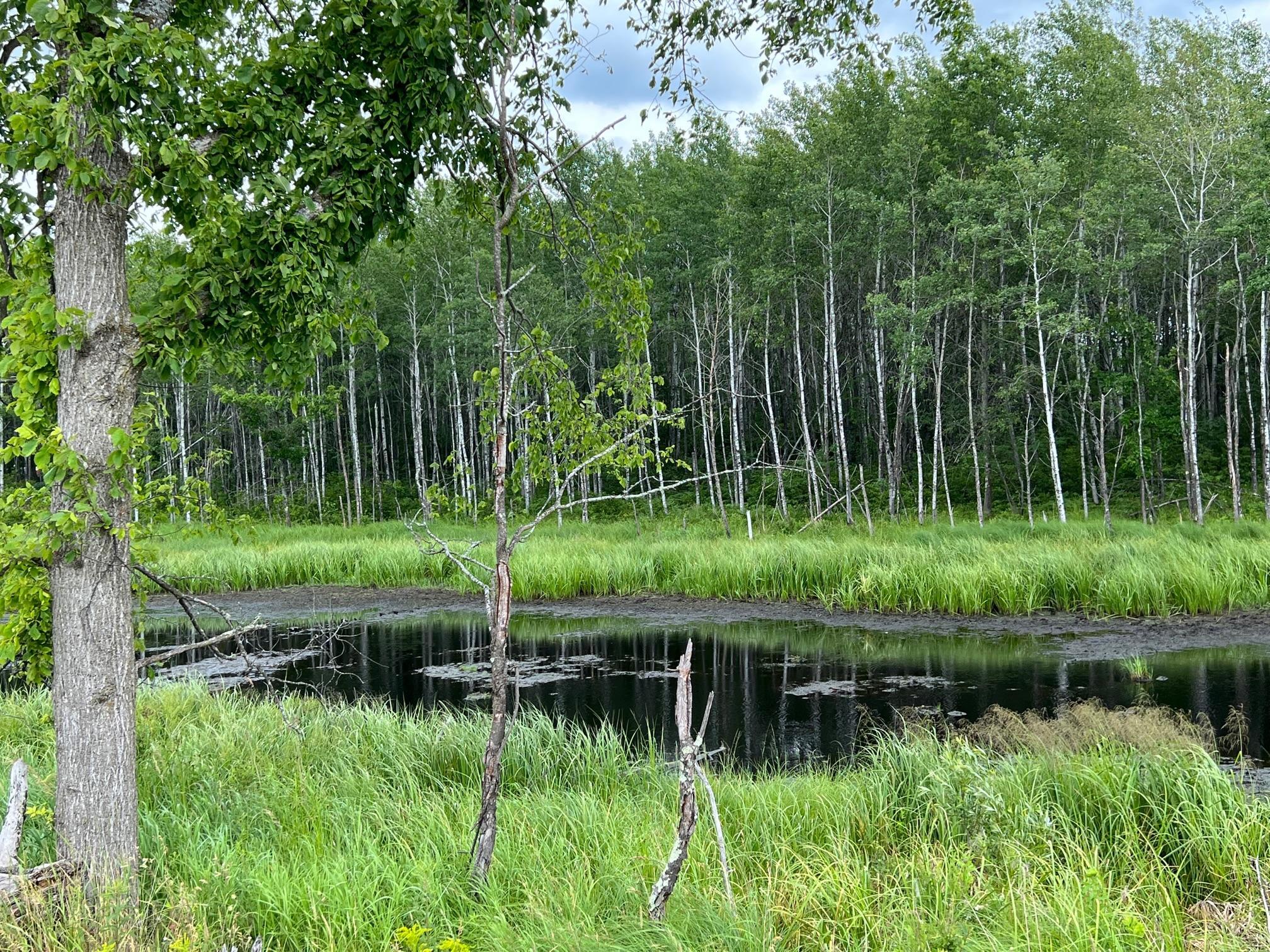W37xx Frog Creek Road Property Photo 17