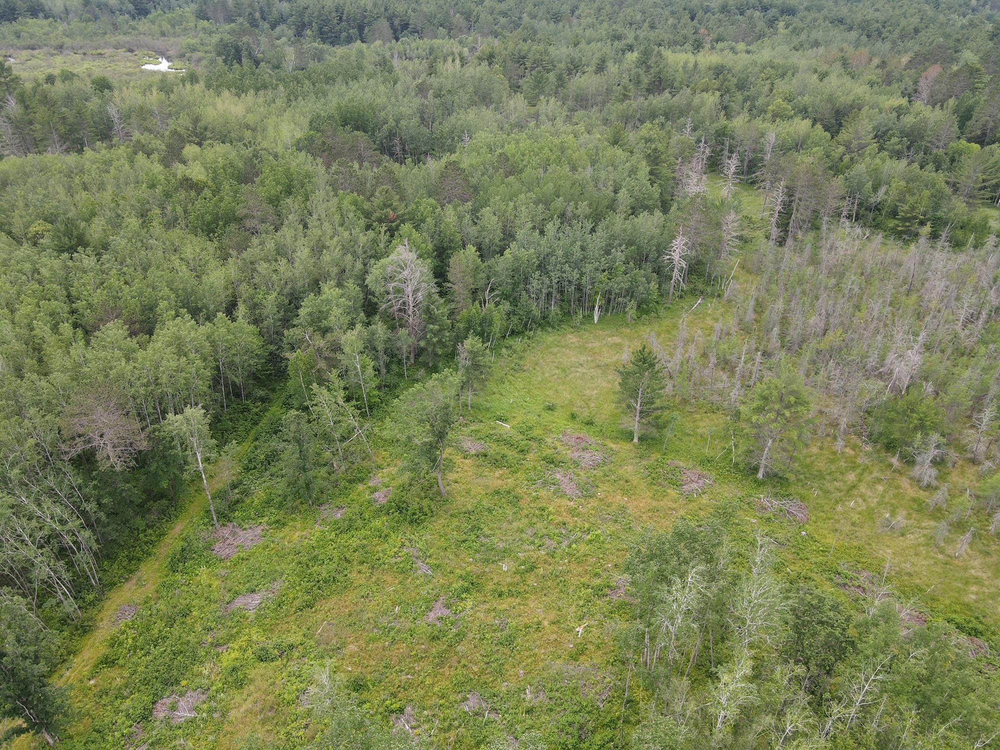 W37xx Frog Creek Road Property Photo 24
