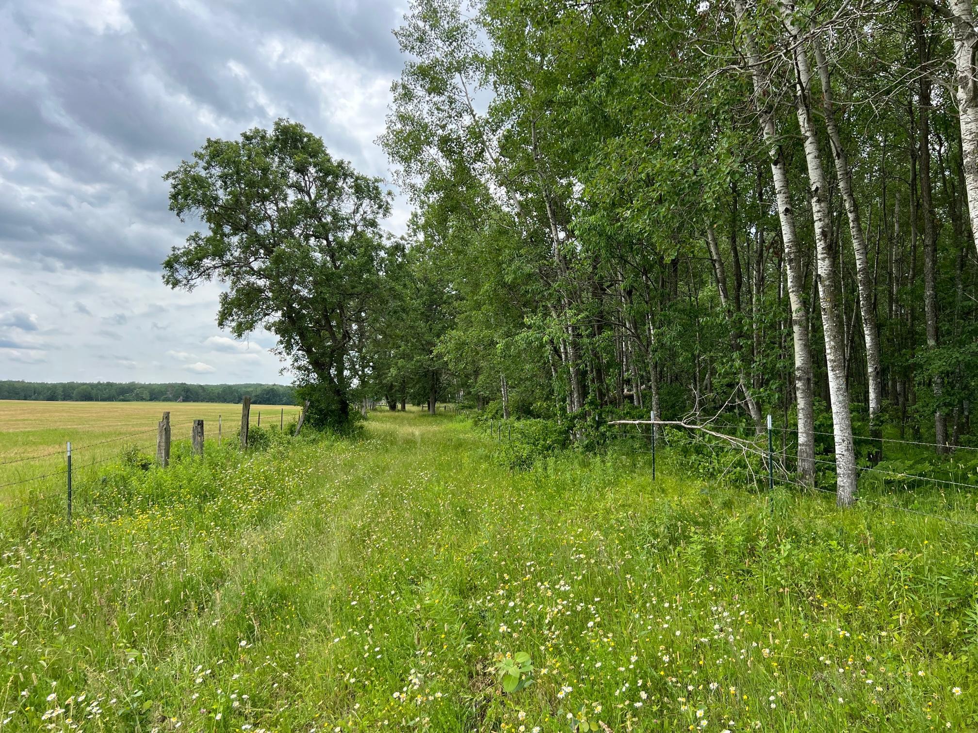 W37xx Frog Creek Road Property Photo 30