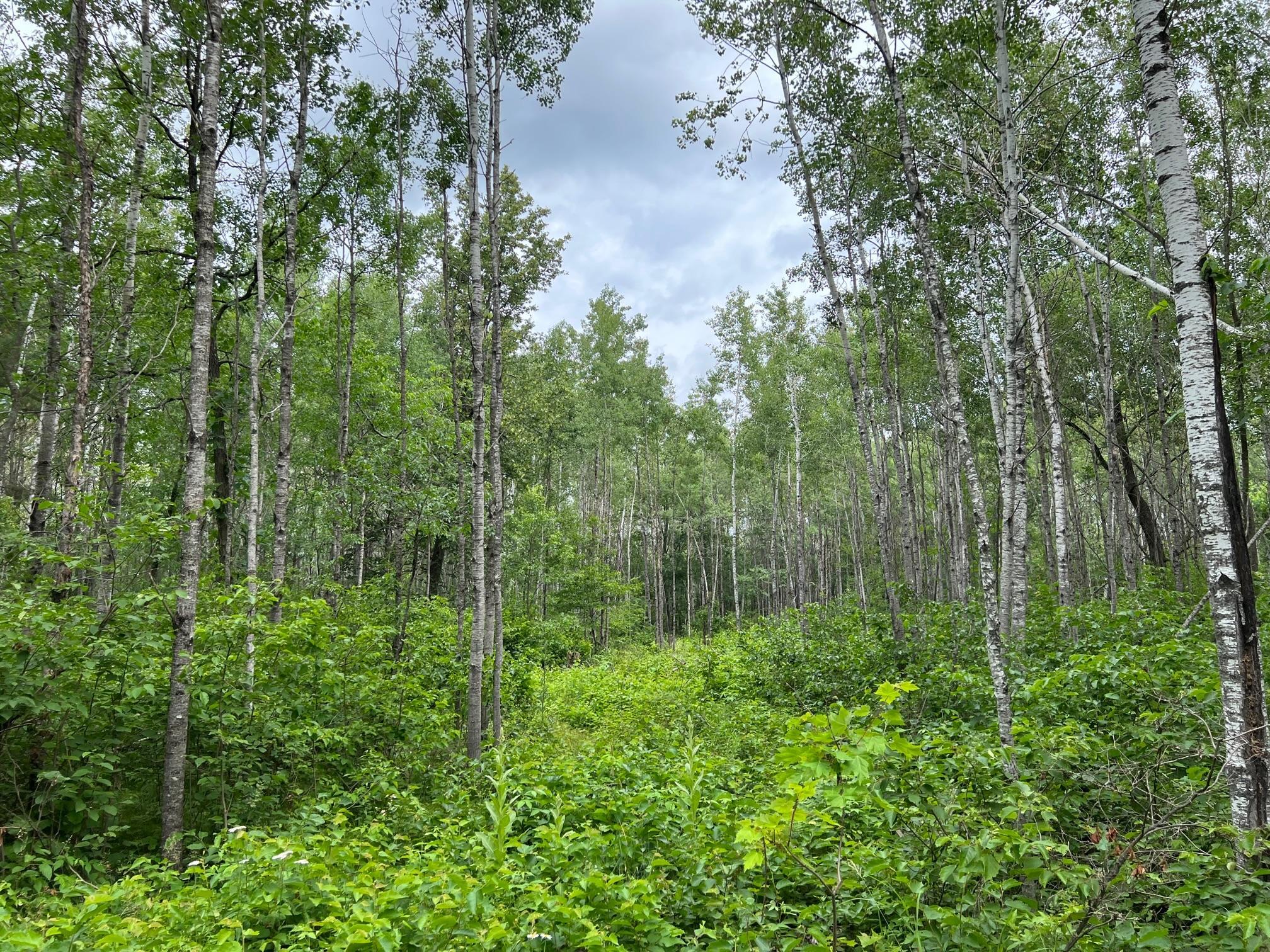 W37xx Frog Creek Road Property Photo 31
