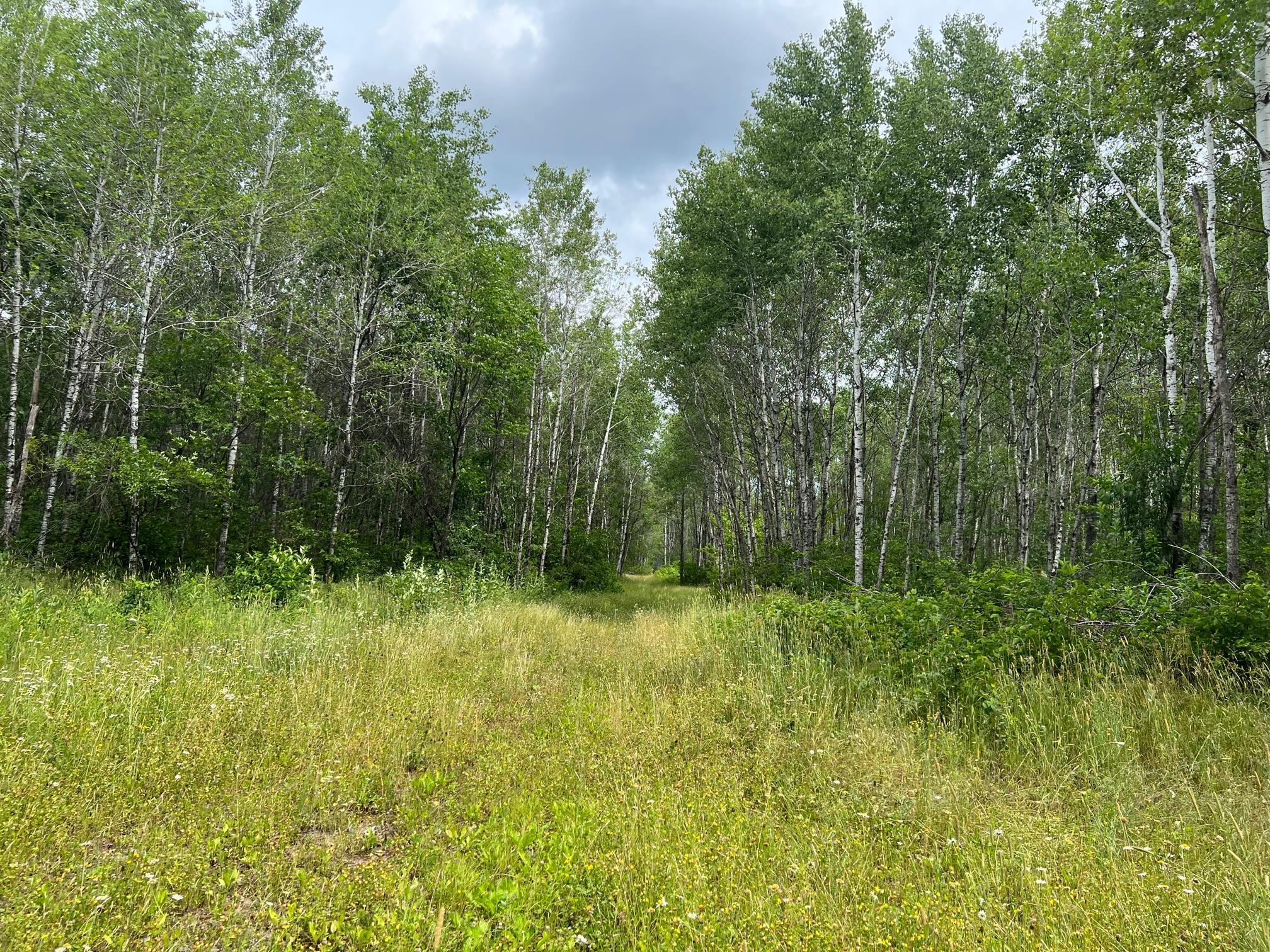 W37xx Frog Creek Road Property Photo 32