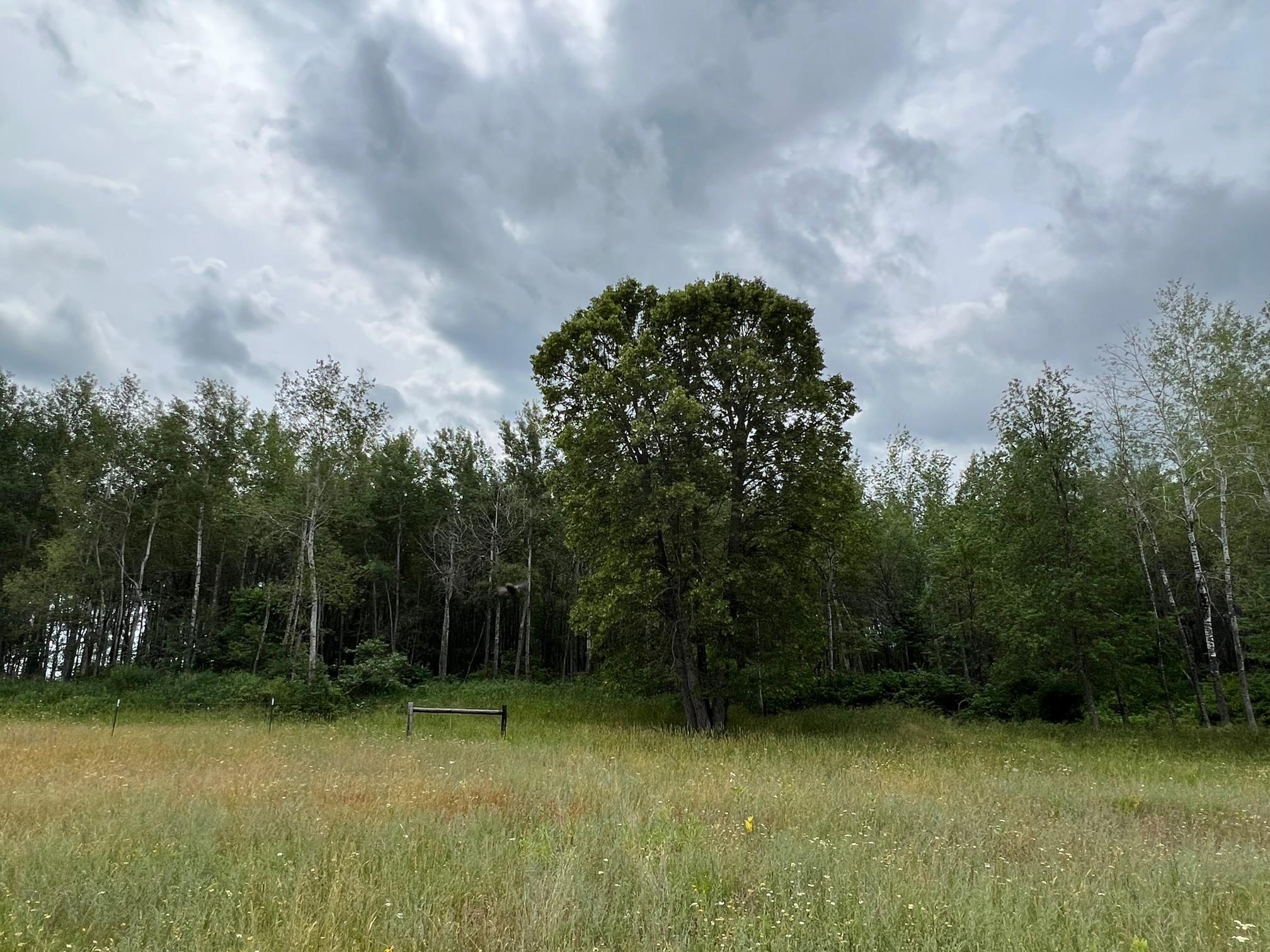 W37xx Frog Creek Road Property Photo 34