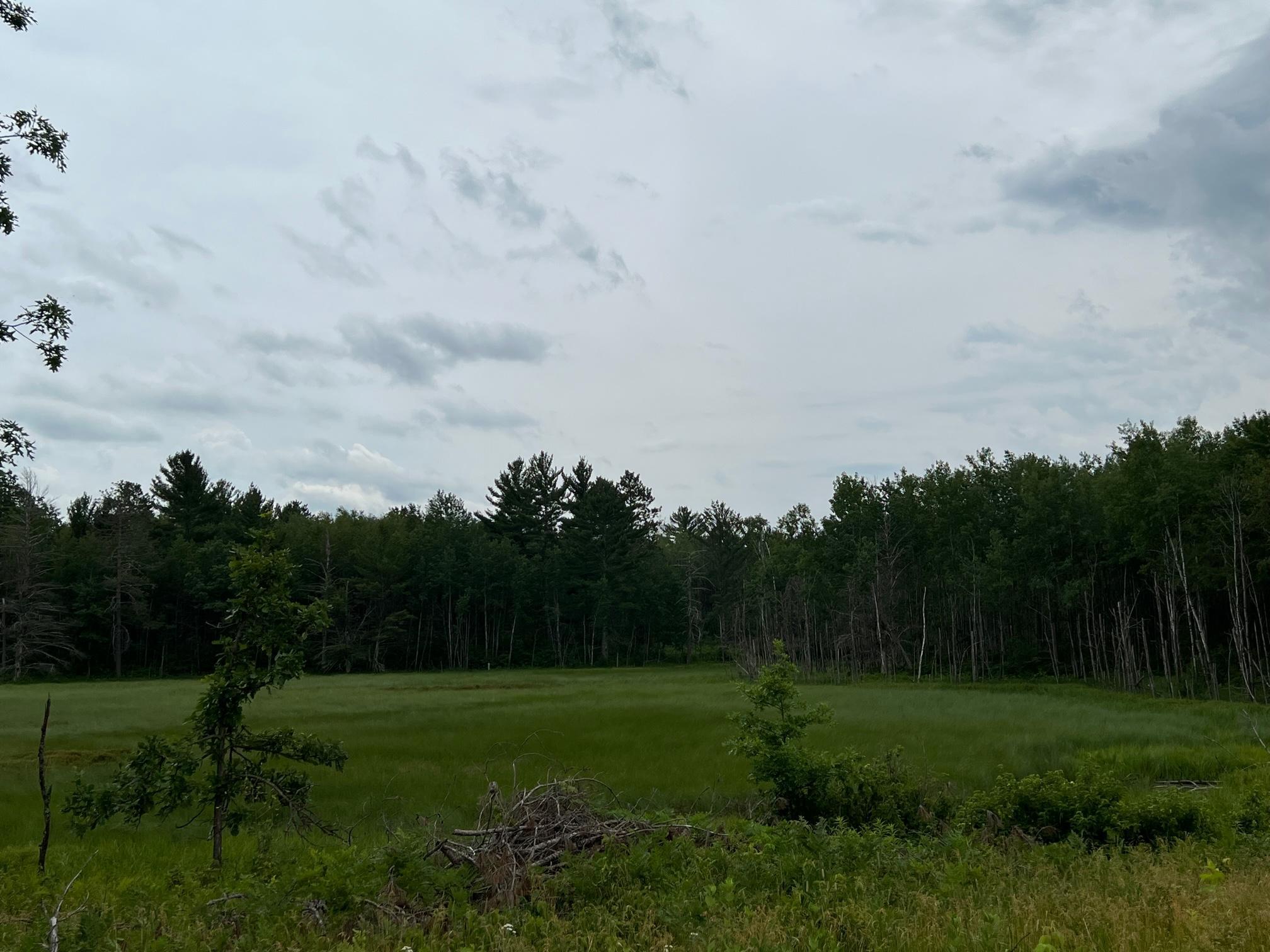 W37xx Frog Creek Road Property Photo 37