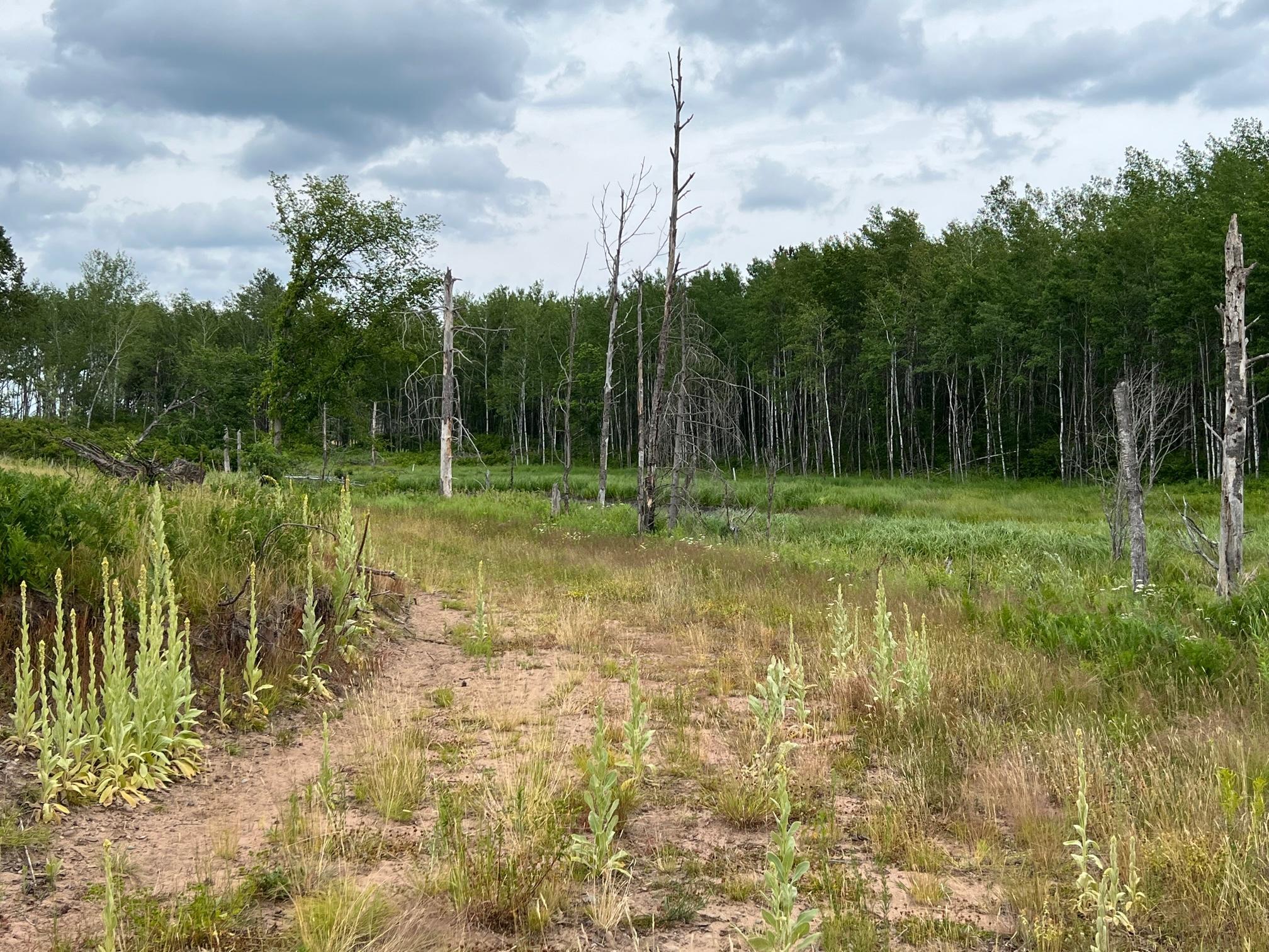 W37xx Frog Creek Road Property Photo 43