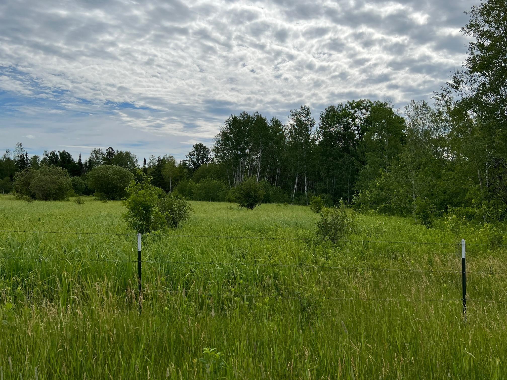 W37xx Frog Creek Road Property Photo 45