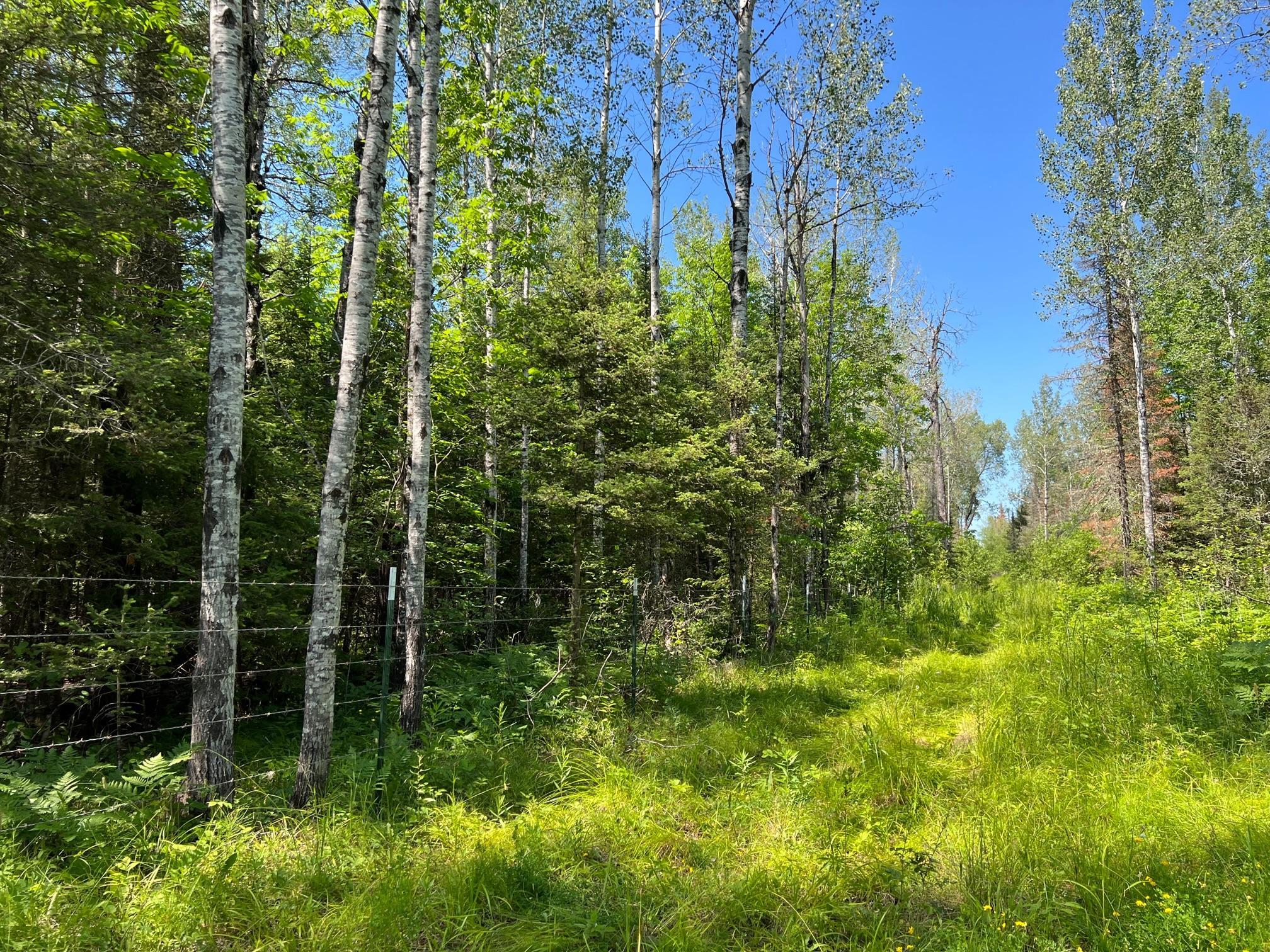 74035 County Highway A Property Photo 52