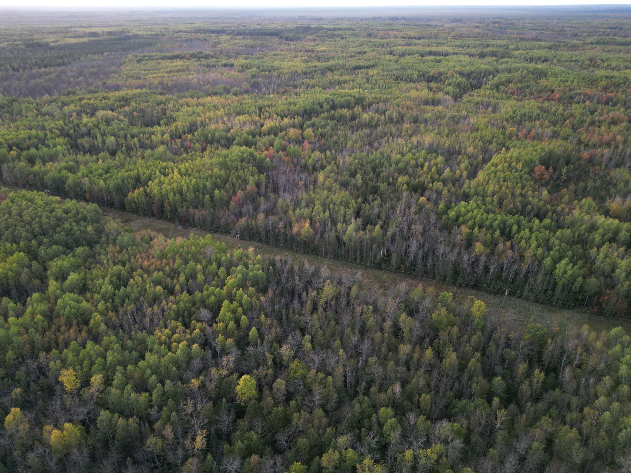 Tbd Us-71 Property Photo 20