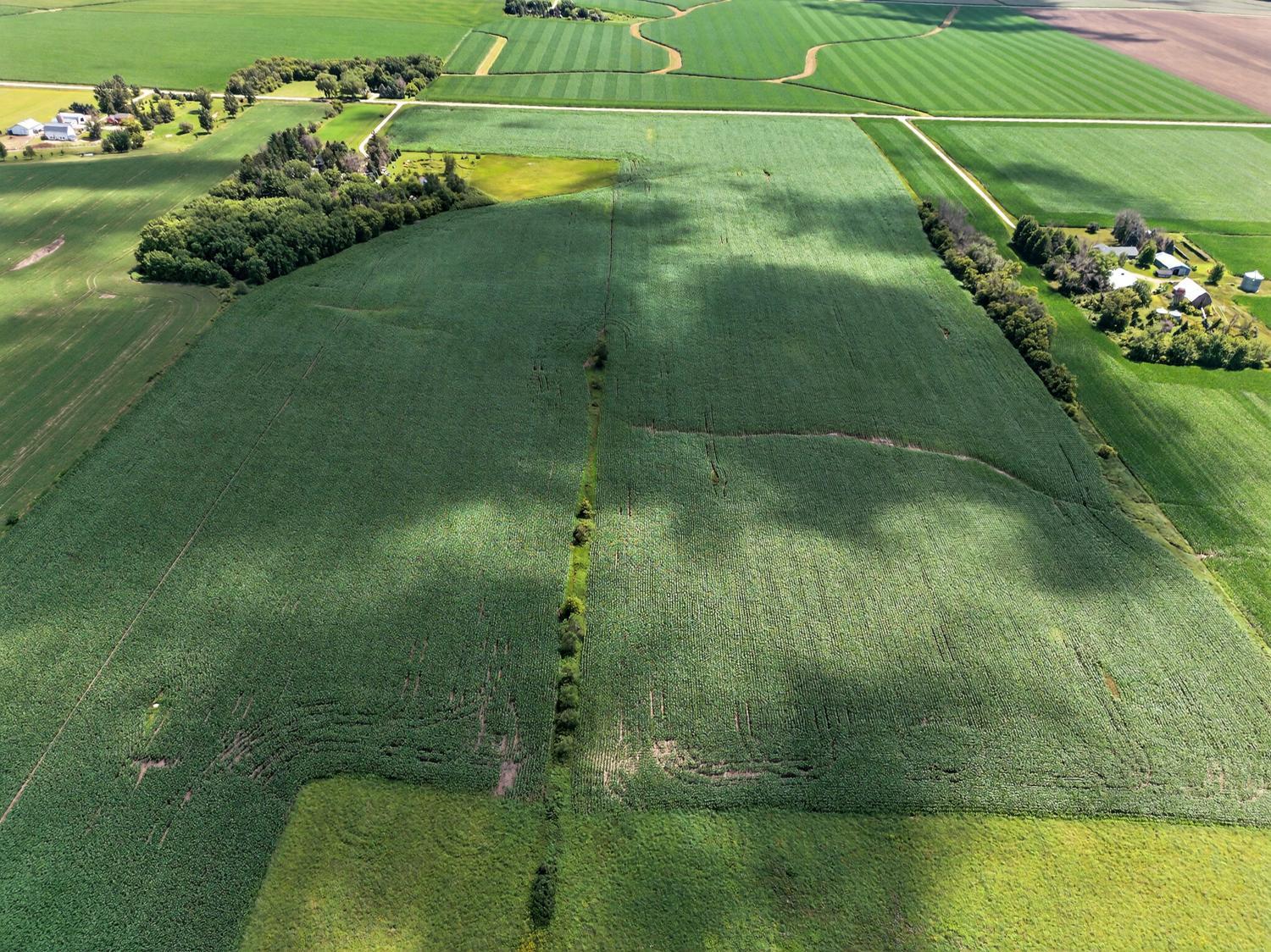 Tbd County Road 149 Property Photo 5