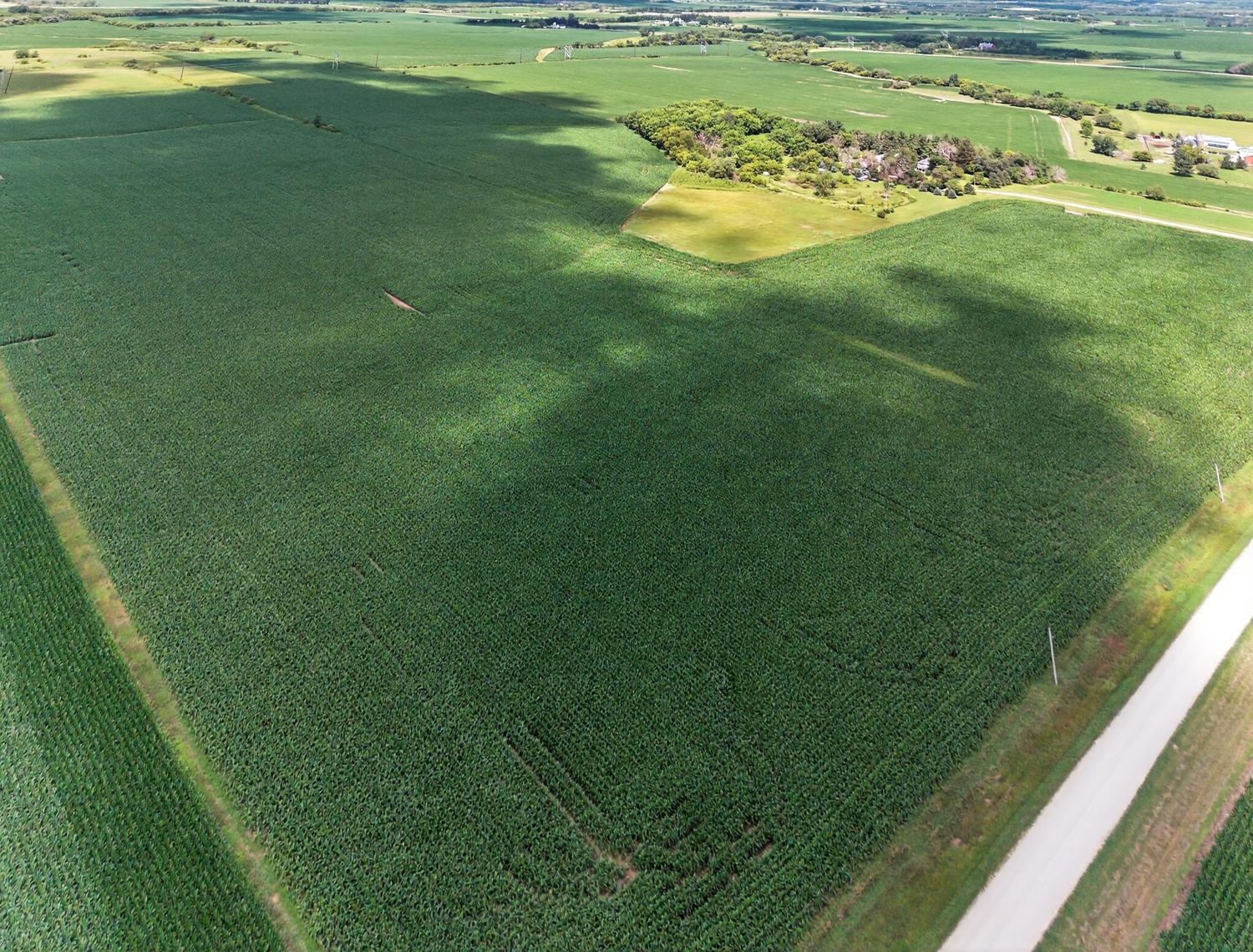 Tbd County Road 149 Property Photo 6