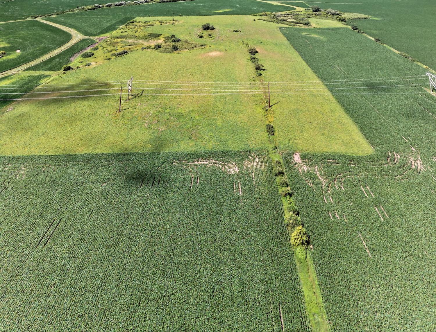 Tbd County Road 149 Property Photo 7