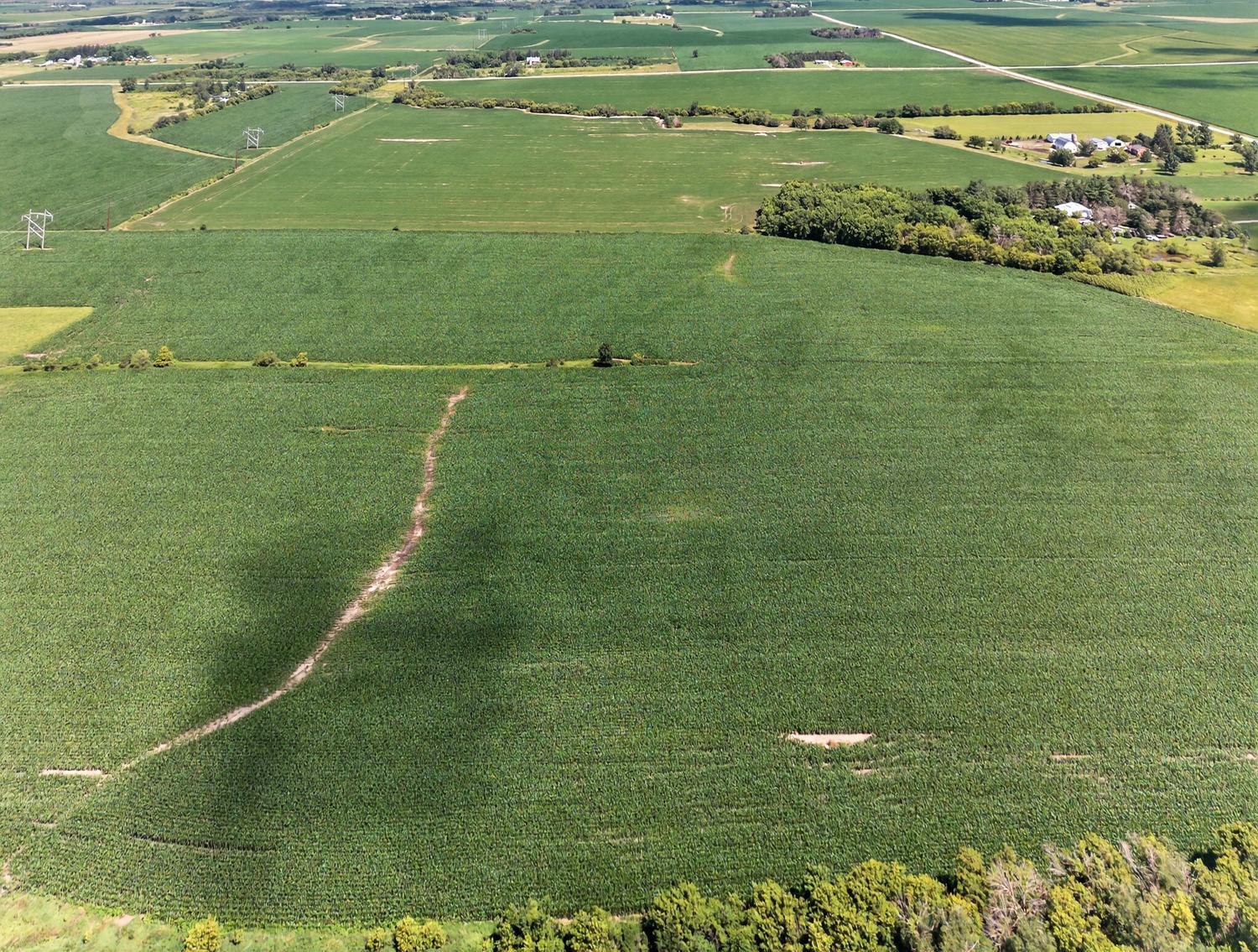 Tbd County Road 149 Property Photo 8