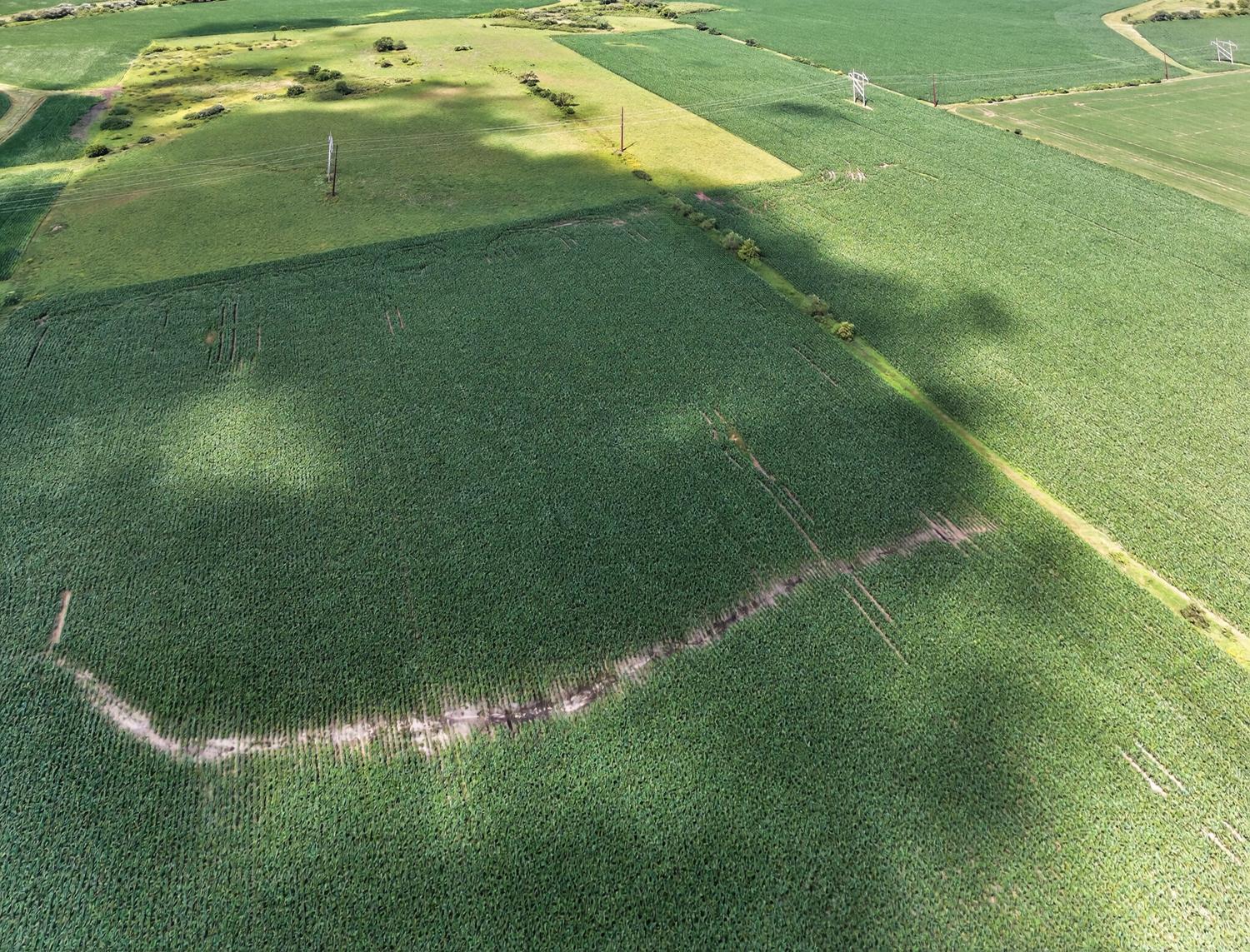 Tbd County Road 149 Property Photo 10