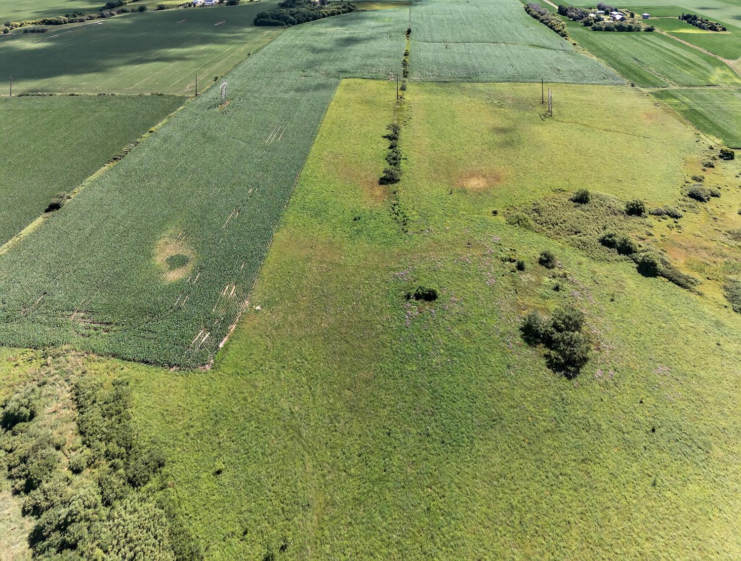 Tbd County Road 149 Property Photo 11