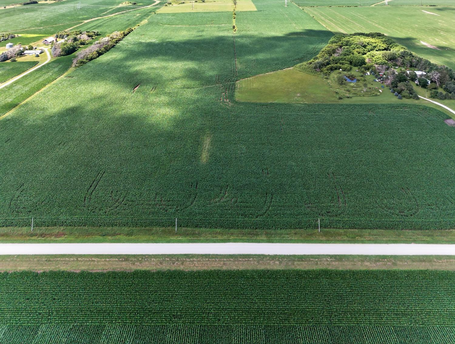 Tbd County Road 149 Property Photo 14