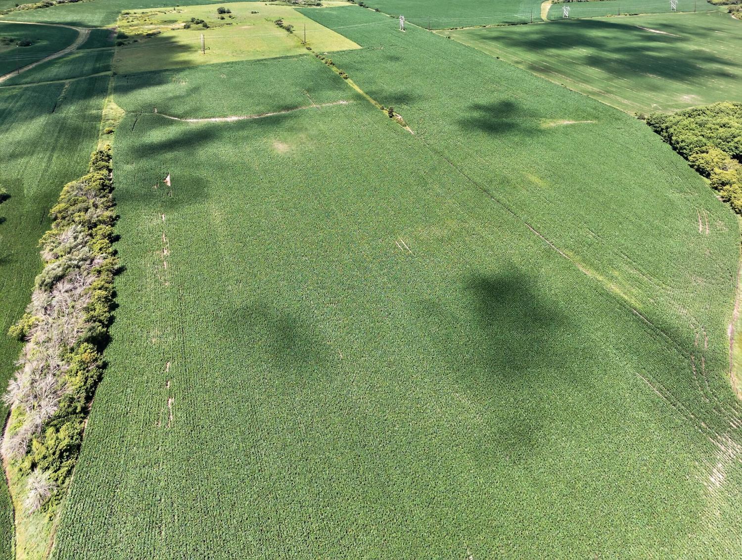 Tbd County Road 149 Property Photo 15