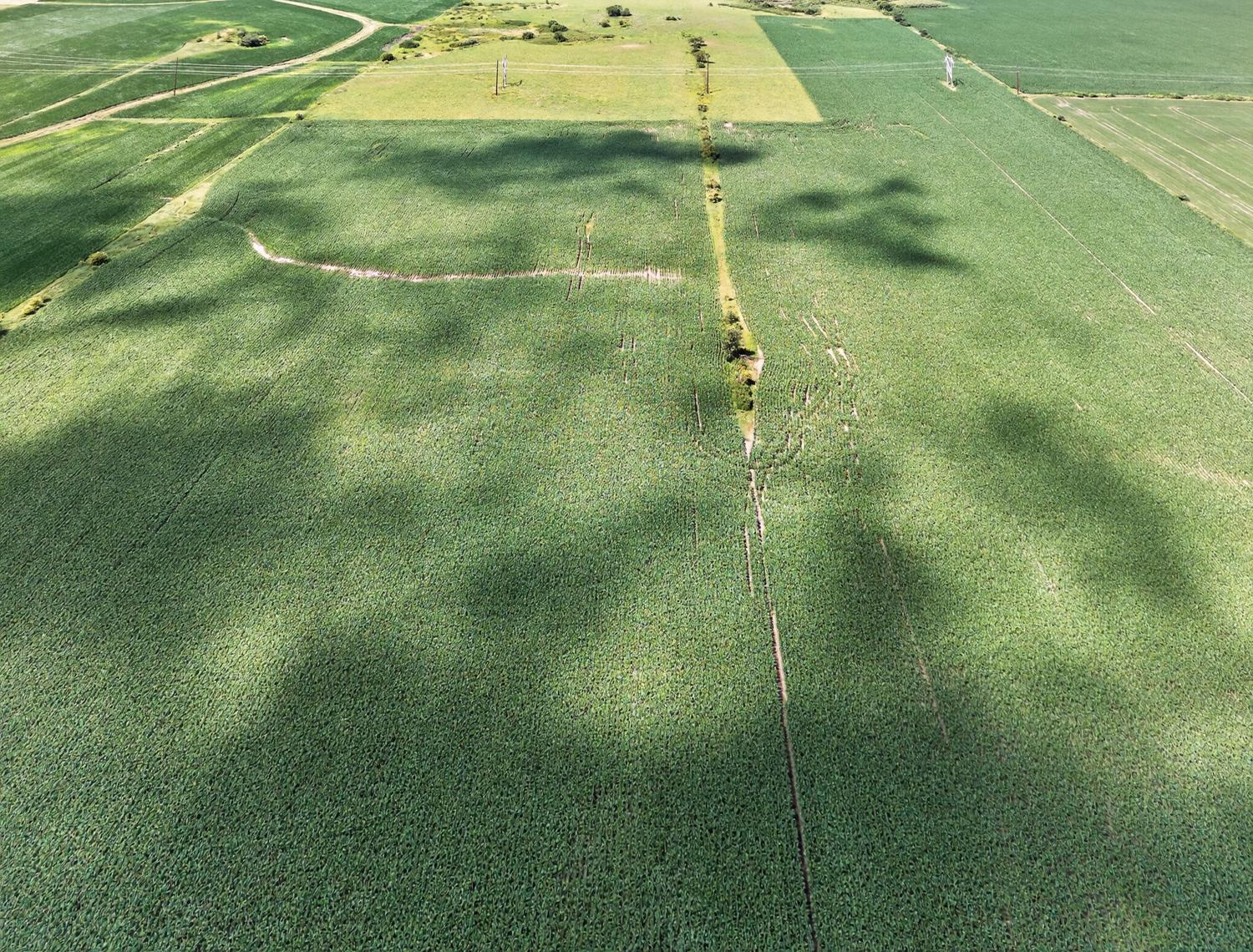 Tbd County Road 149 Property Photo 16