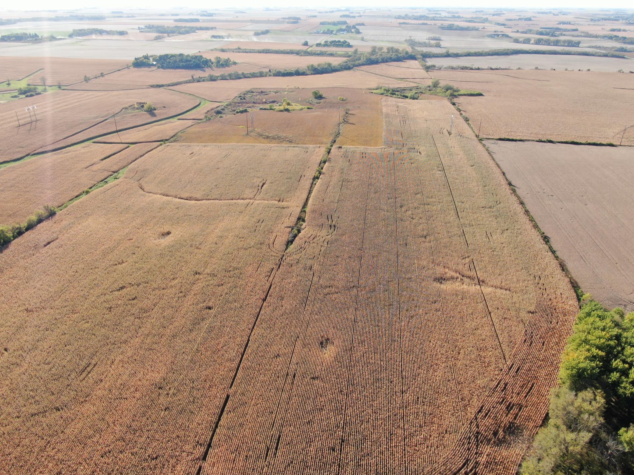 Tbd County Road 149 Property Photo 17