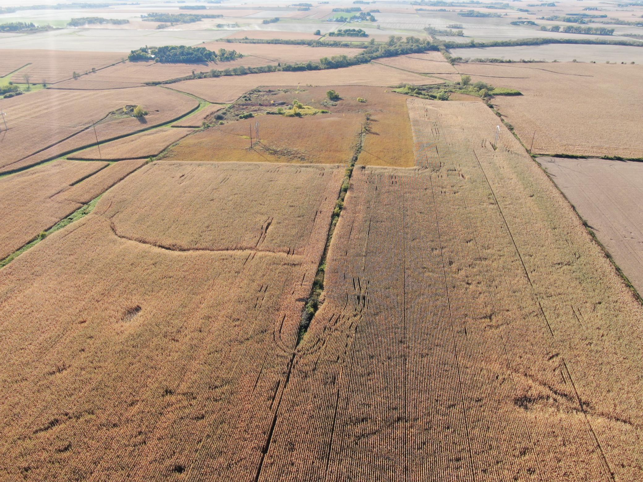 Tbd County Road 149 Property Photo 18