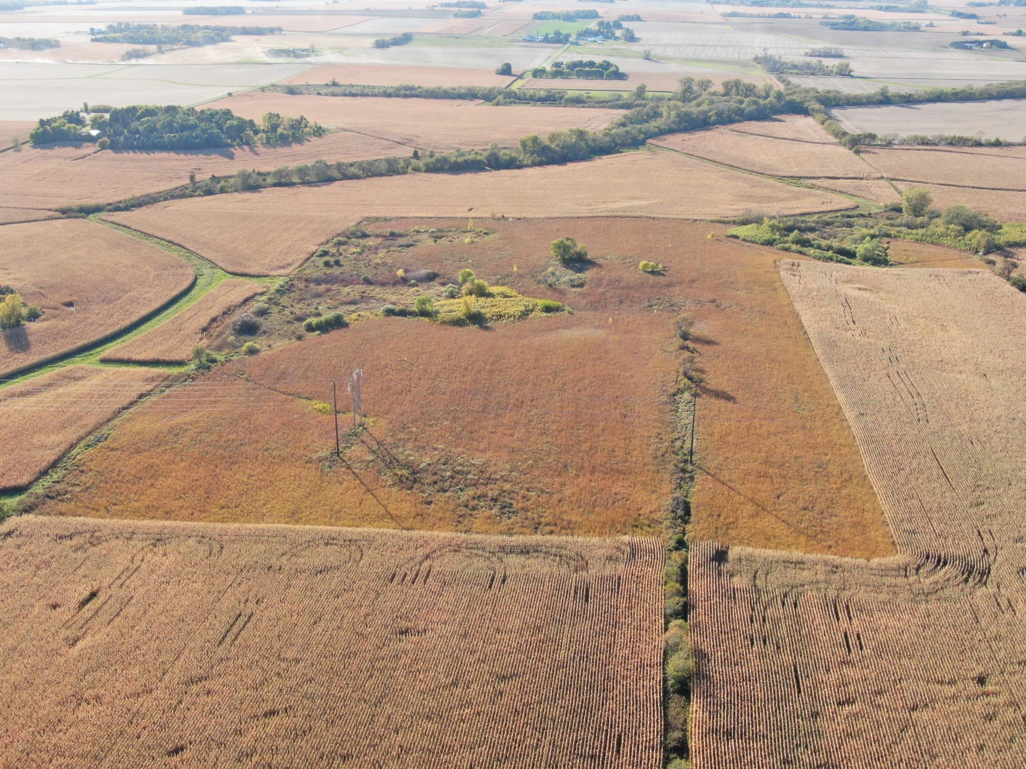 Tbd County Road 149 Property Photo 19