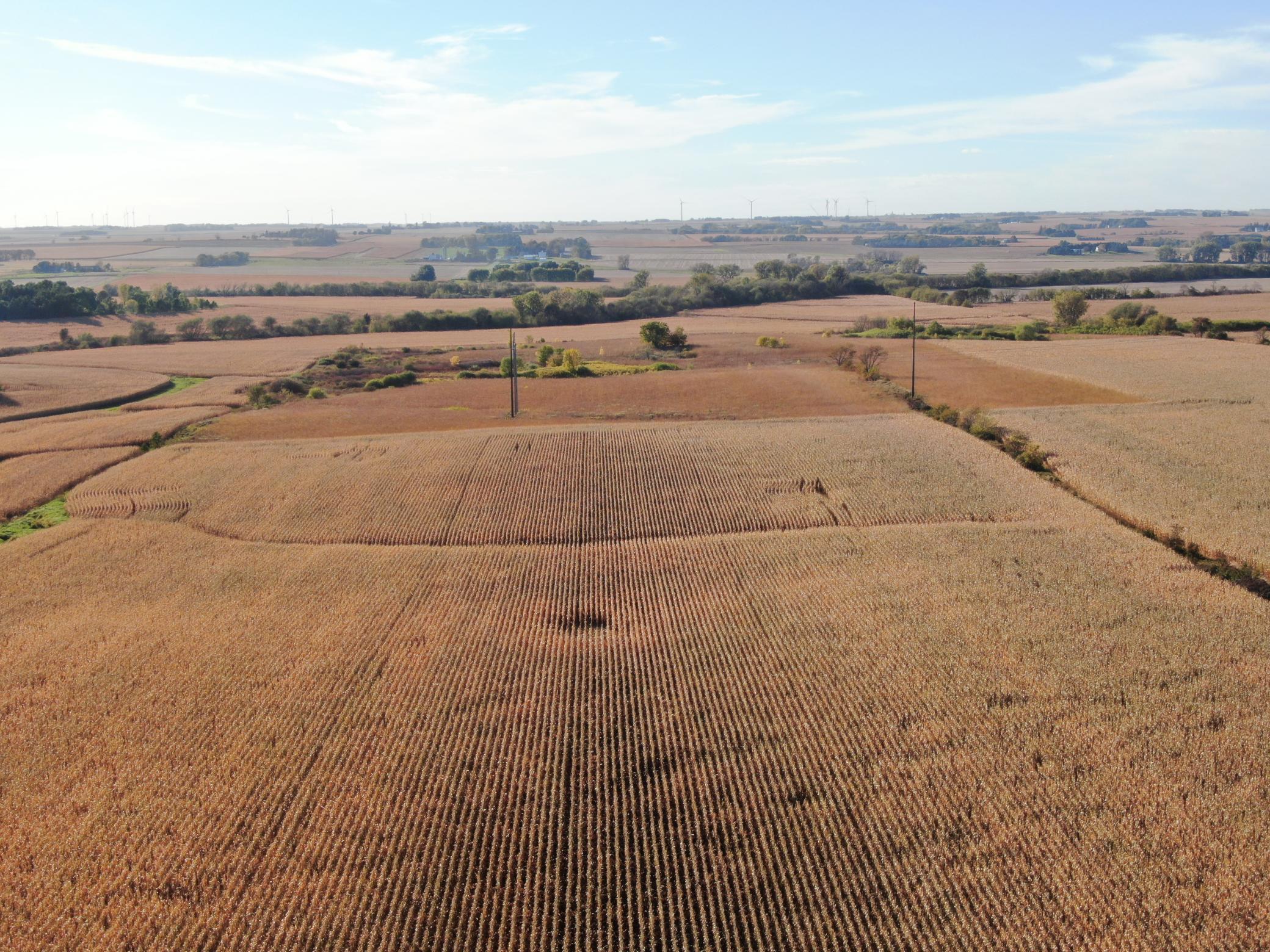 Tbd County Road 149 Property Photo 25