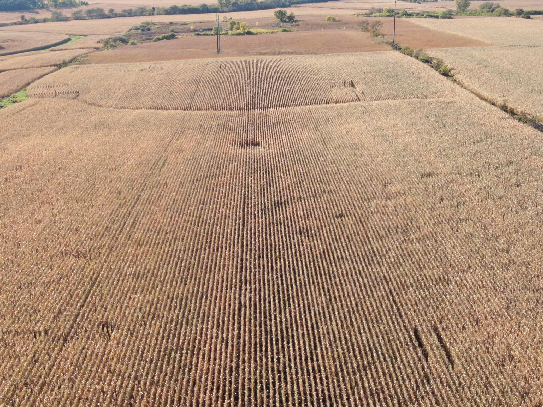 Tbd County Road 149 Property Photo 26