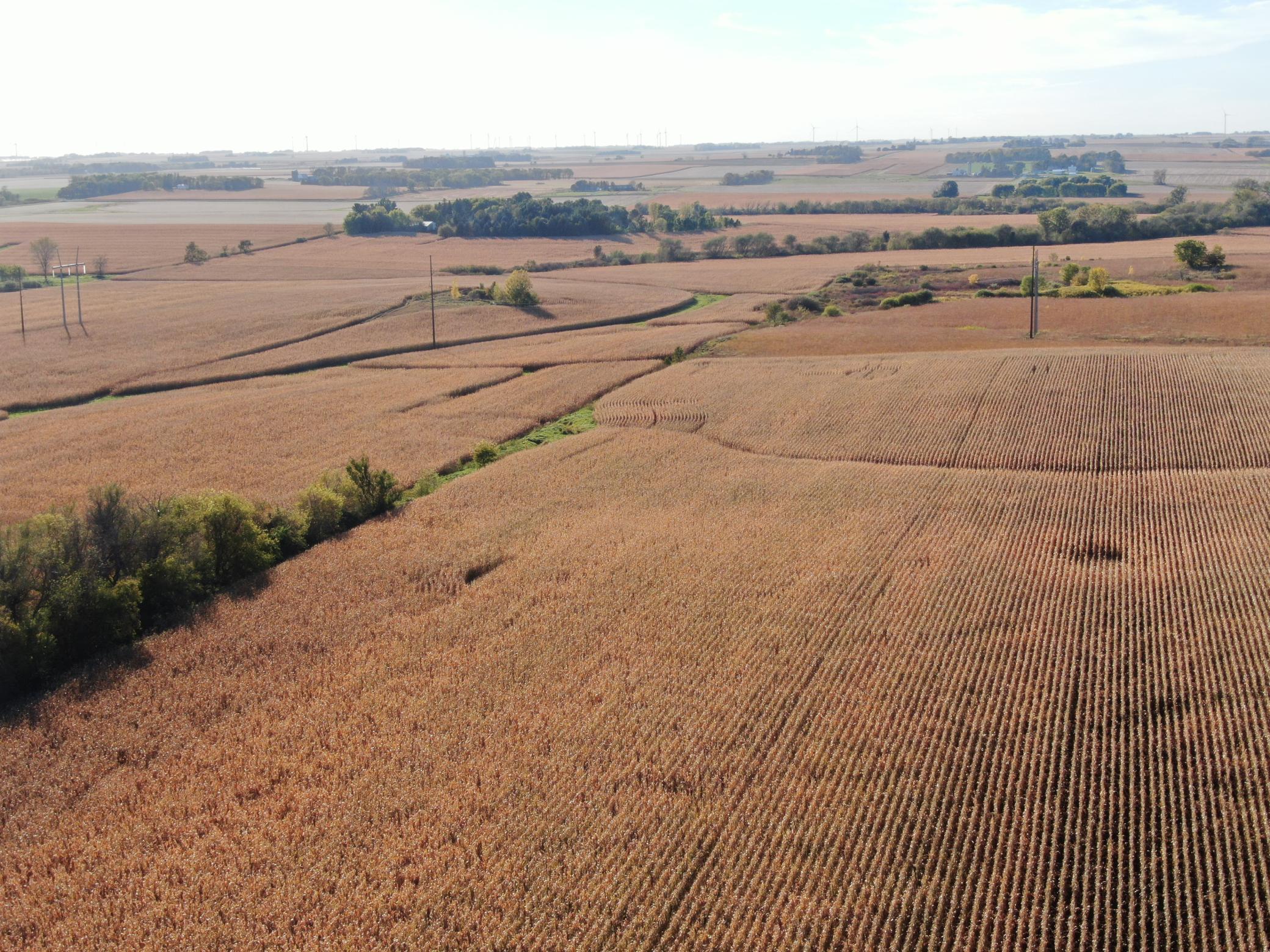 Tbd County Road 149 Property Photo 27