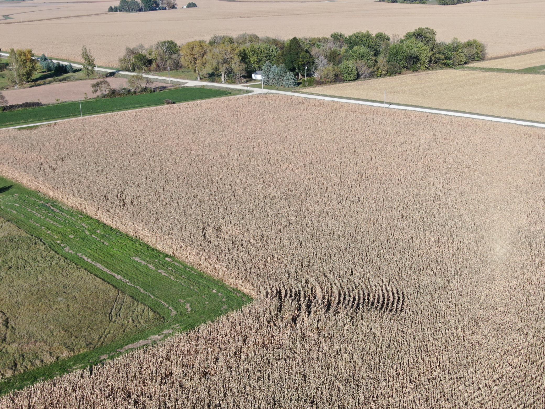Tbd County Road 149 Property Photo 28