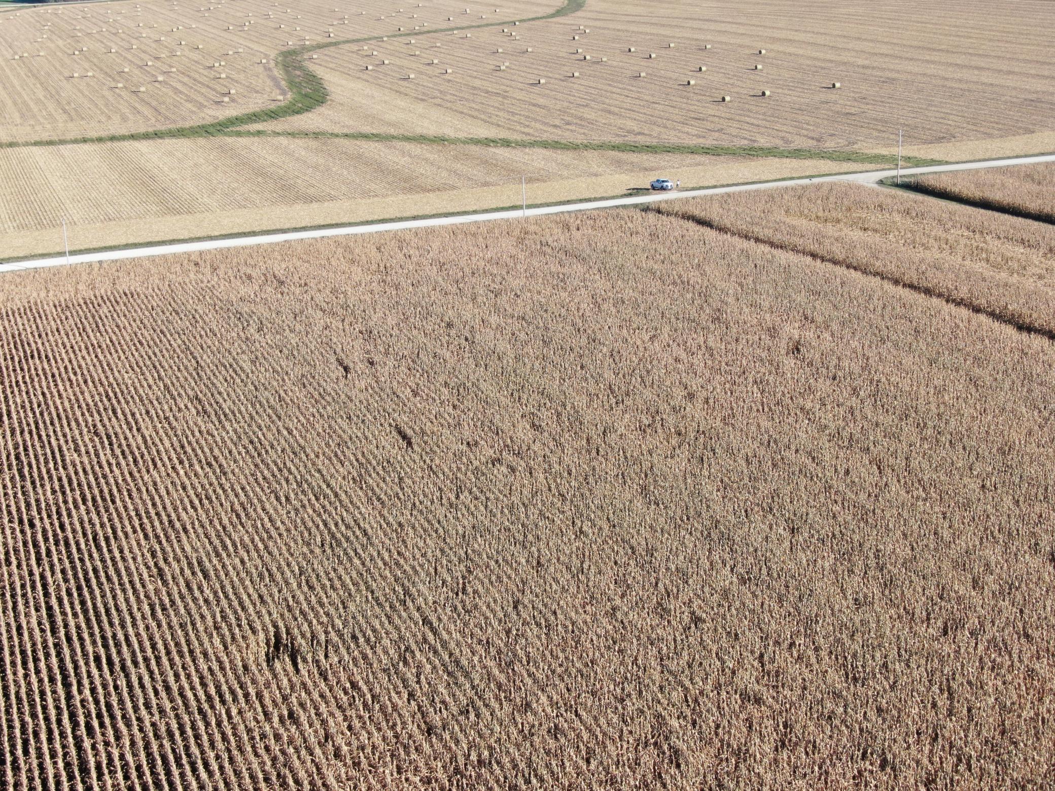 Tbd County Road 149 Property Photo 29