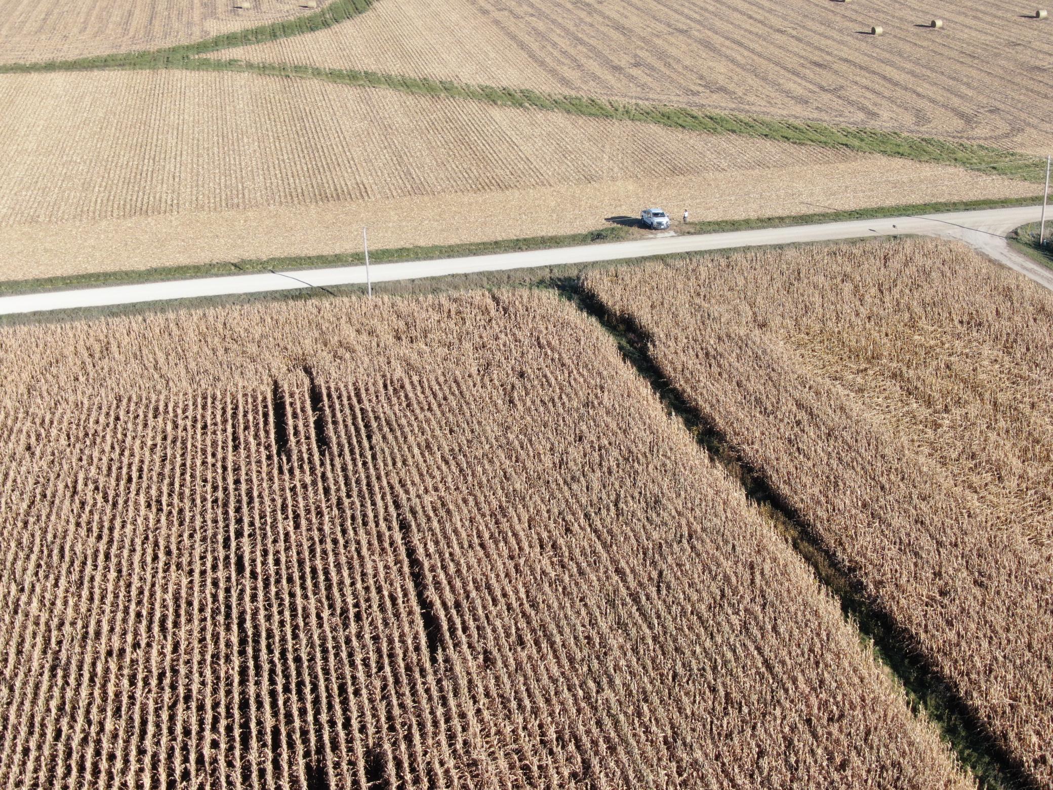 Tbd County Road 149 Property Photo 30