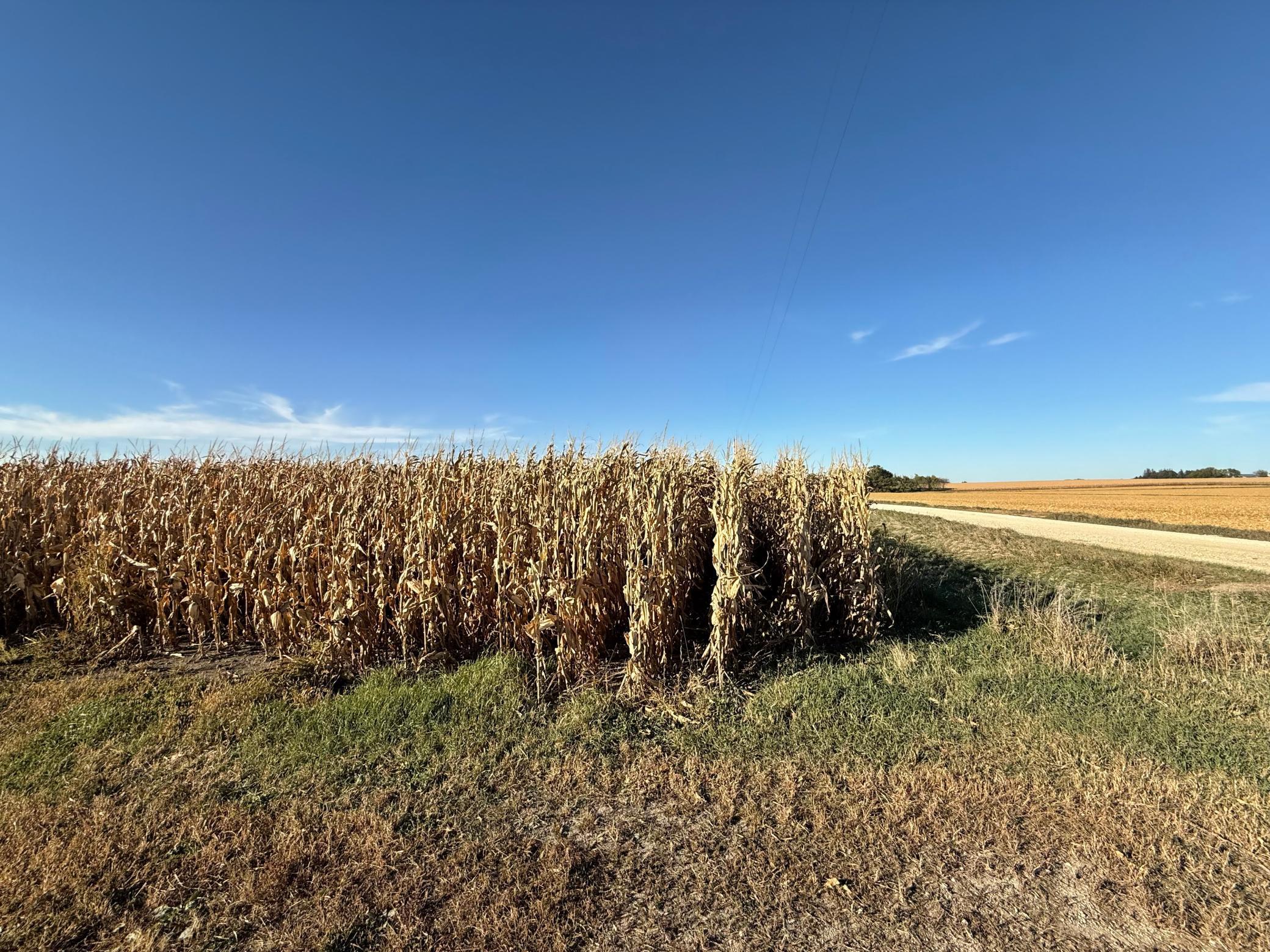Tbd County Road 149 Property Photo 31