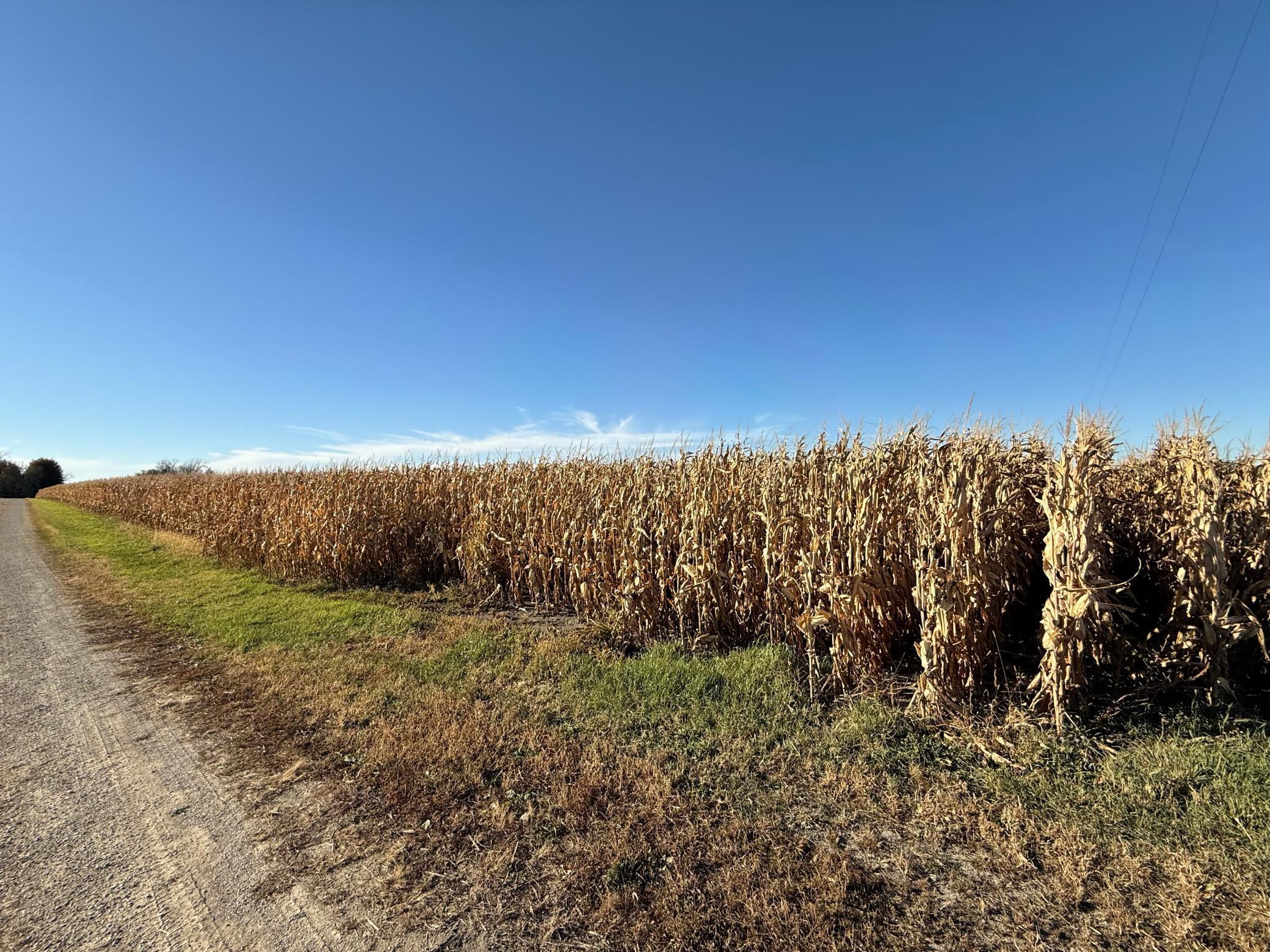 Tbd County Road 149 Property Photo 32