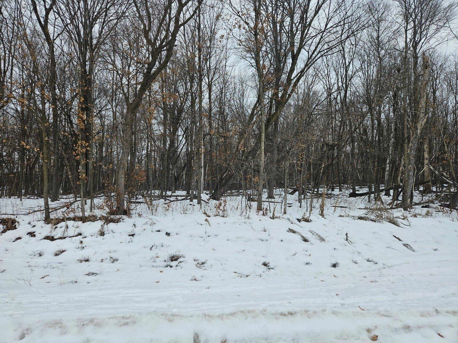 Lot 2, Block 2 2 1/2 Avenue Ne Property Photo 1