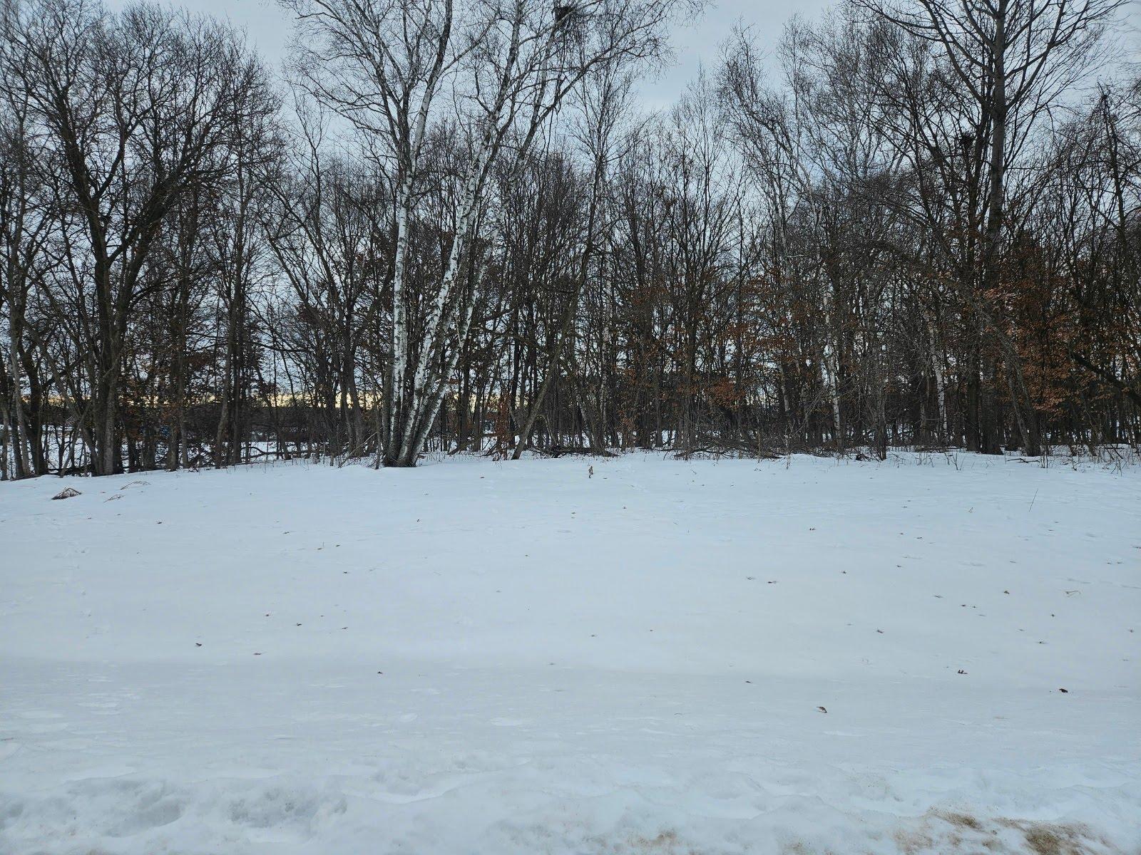 Lot 2, Block 3 2 1/2 Avenue Ne Property Photo 1