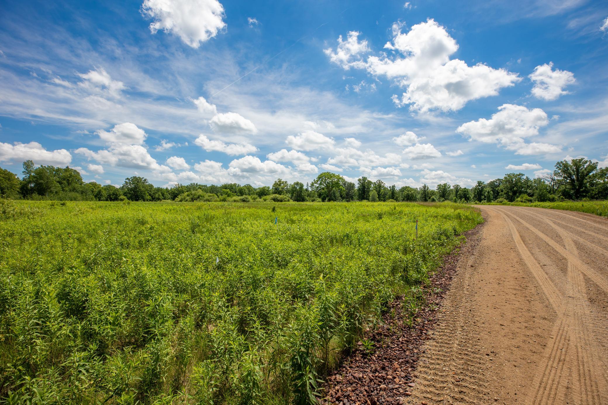 Tract A County Road 30 Property Photo 4
