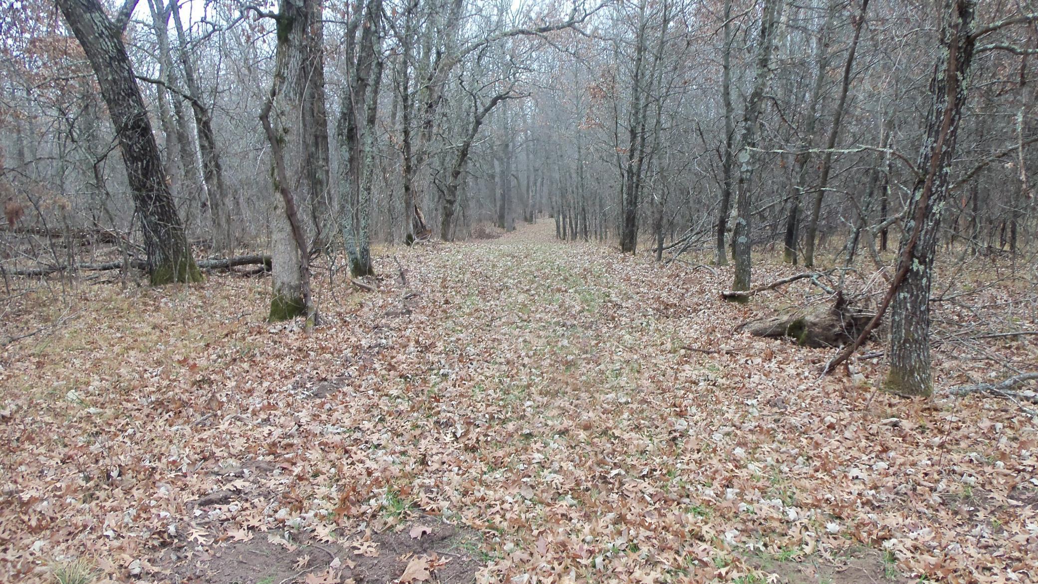 Lot 6 Canute Creek Trl Property Photo 3